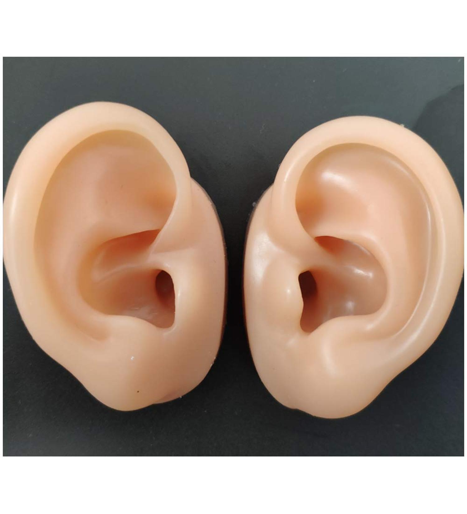 Fhuili EAR Model - Soft Silicone Simulation Ear for Acupuncture Ear Picking Practice & Earring Display Props - Buy Online on GoSupps.com