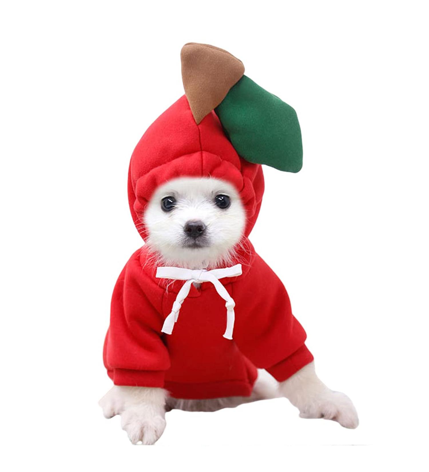 Xiaoyu Dog Hoodies - Warm Sweatshirt Coat for Puppies | Autumn Winter Fruit Hood Red XL - Buy Online on GoSupps.com