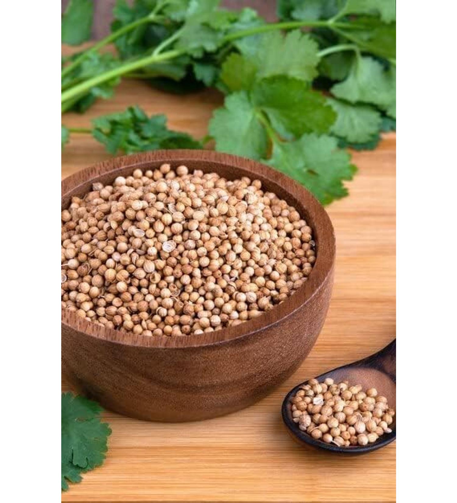 TRS Dhania Whole | 100G | Coriander Seeds |Essential Ingredient for Variety of Dishes |Whole Coriander Seeds | High Fibre | High Protein | Indian Origin (Pack of 2) - Buy Online on GoSupps.com