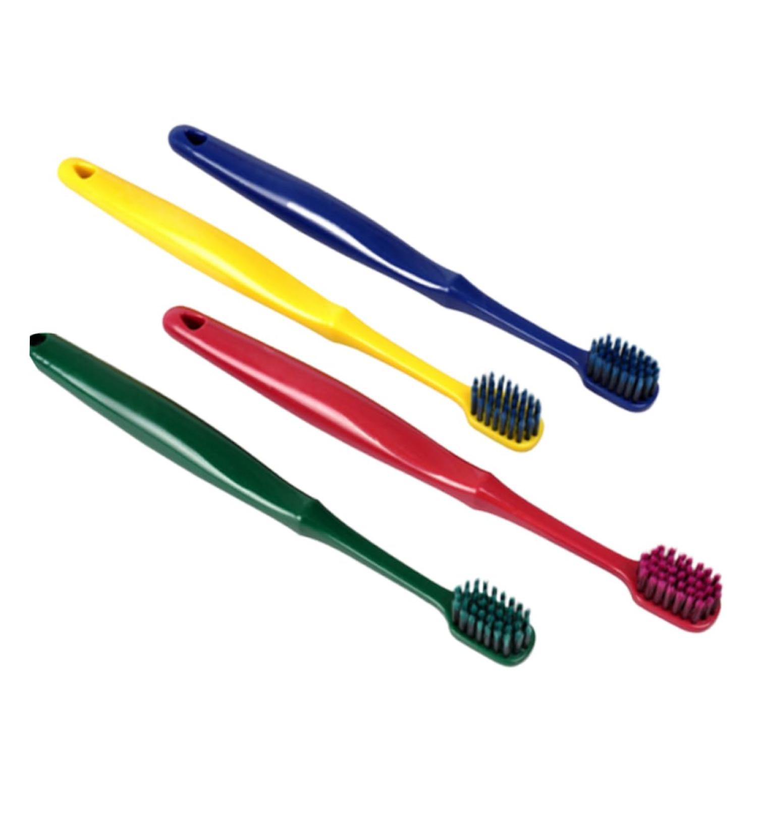 FRCOLOR 4pcs Soft Bristle Toothbrush Set with Tongue Brush & Storage Bucket - Perfect Care Accessories for Guinea Pig Lovers - Buy Online on GoSupps.com
