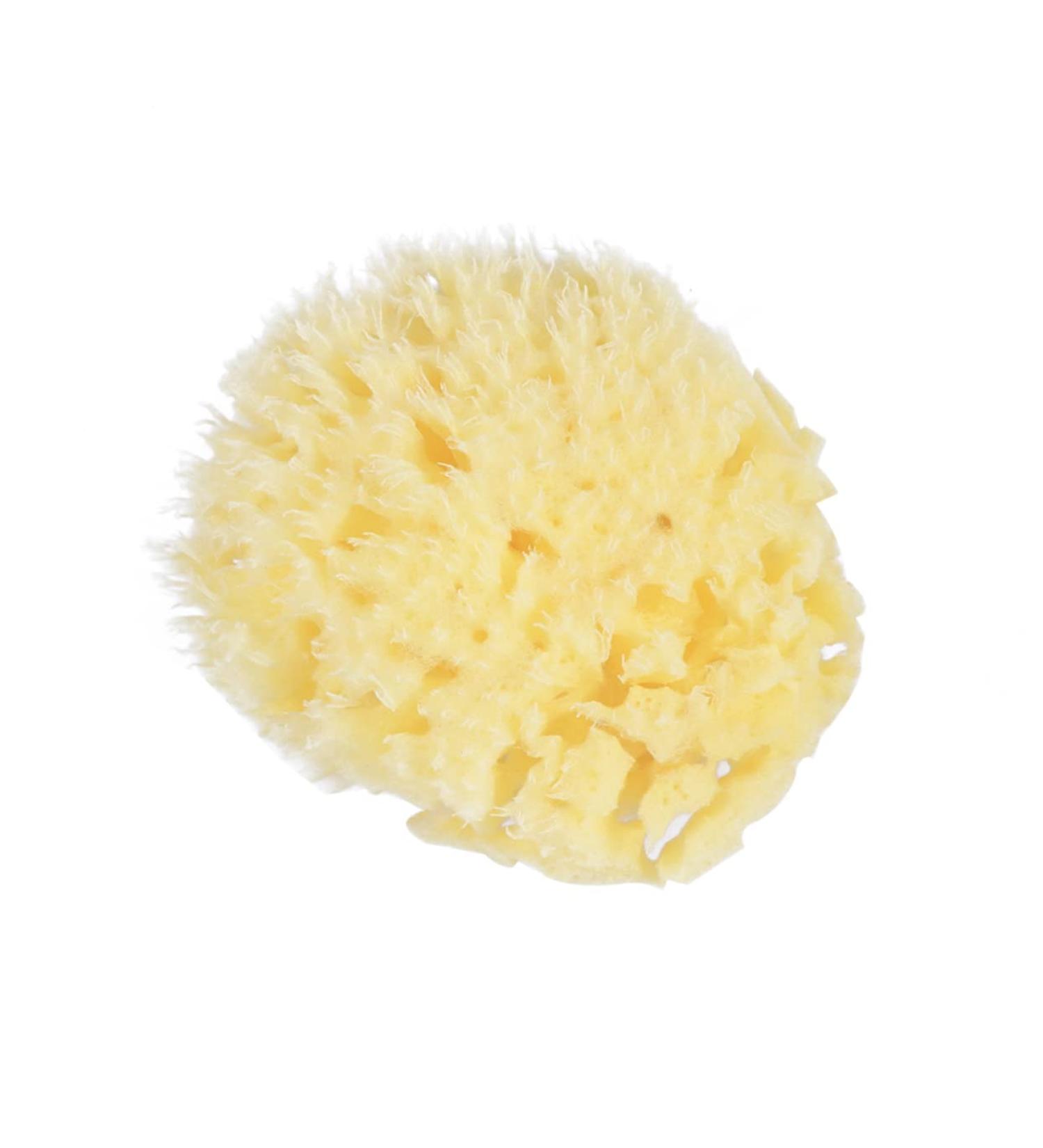 Healeved Mineral Bath Sponge | Natural Facial & Shower Scrubber | Bulk Honeycomb Bath Wipe for Optimal Skin Care - Buy Online on GoSupps.com