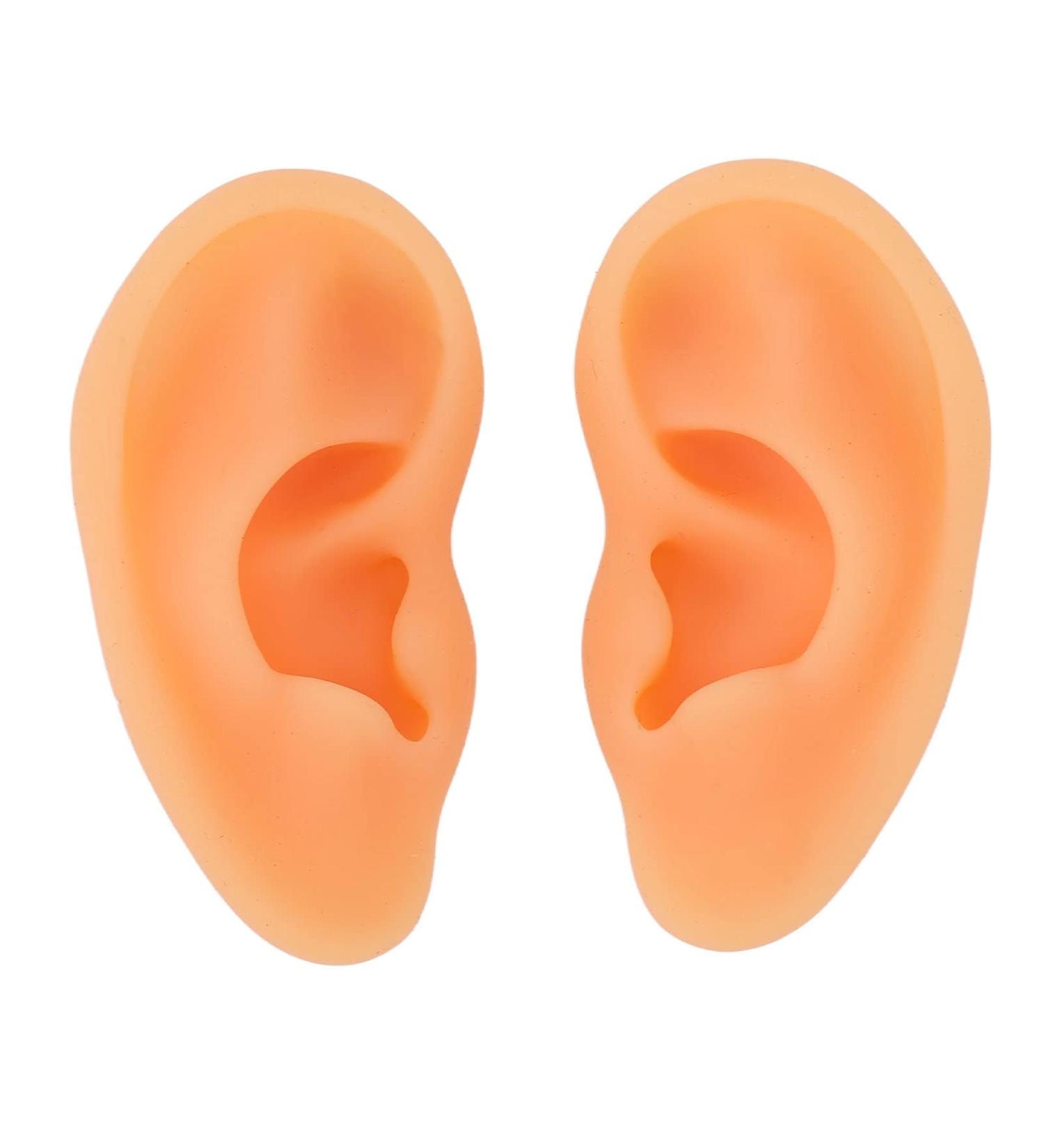 Buy 2-Piece Silicone Ear Model Set - Realistic Acupuncture Training Tools for Medical Professionals - International Shipping Available - Buy Online on GoSupps.com