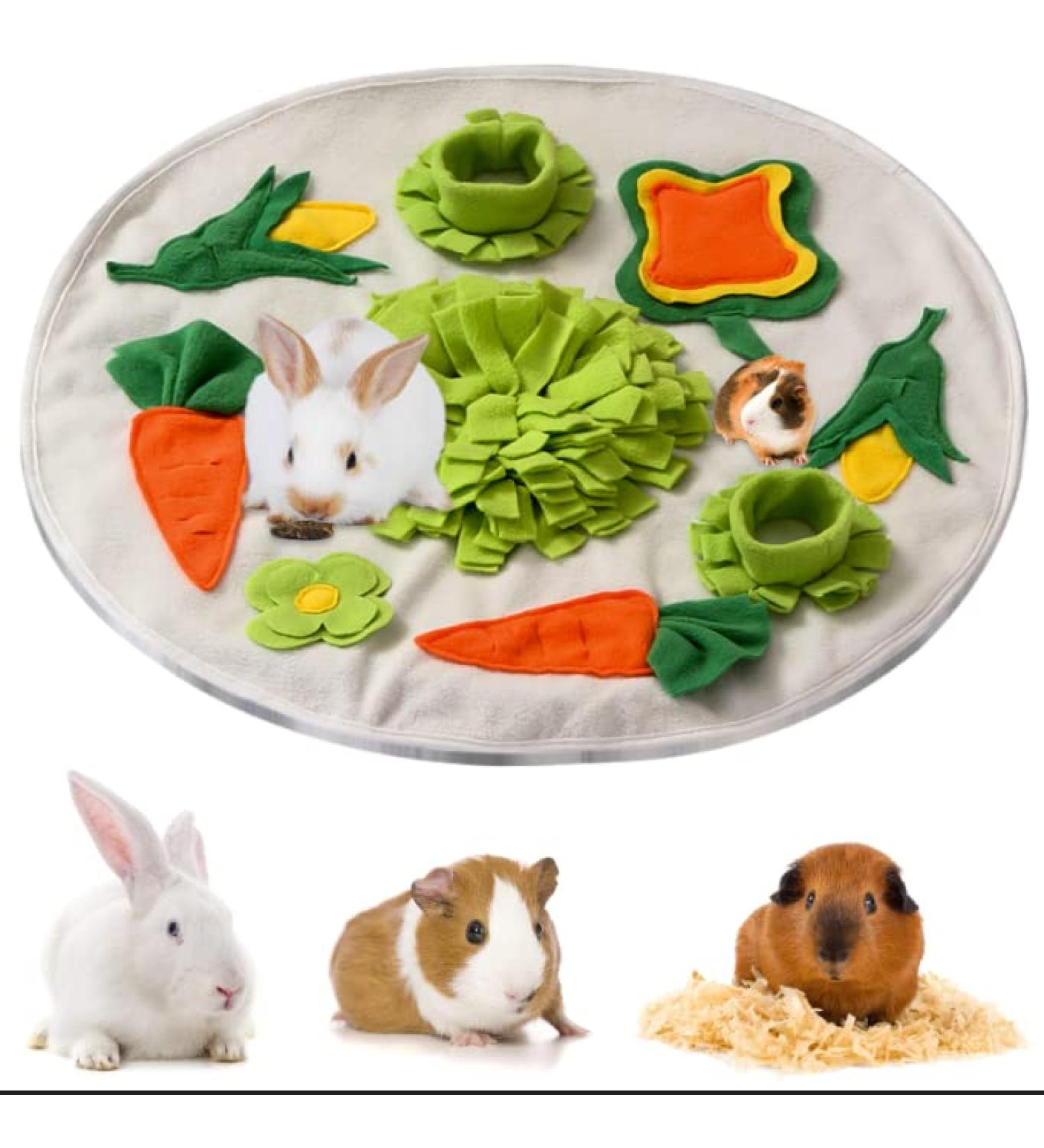 Snuffing Carpet for Rabbits & Guinea Pigs | Sniffing Mats Intelligence Toys & Food Search Training - Buy Online on GoSupps.com