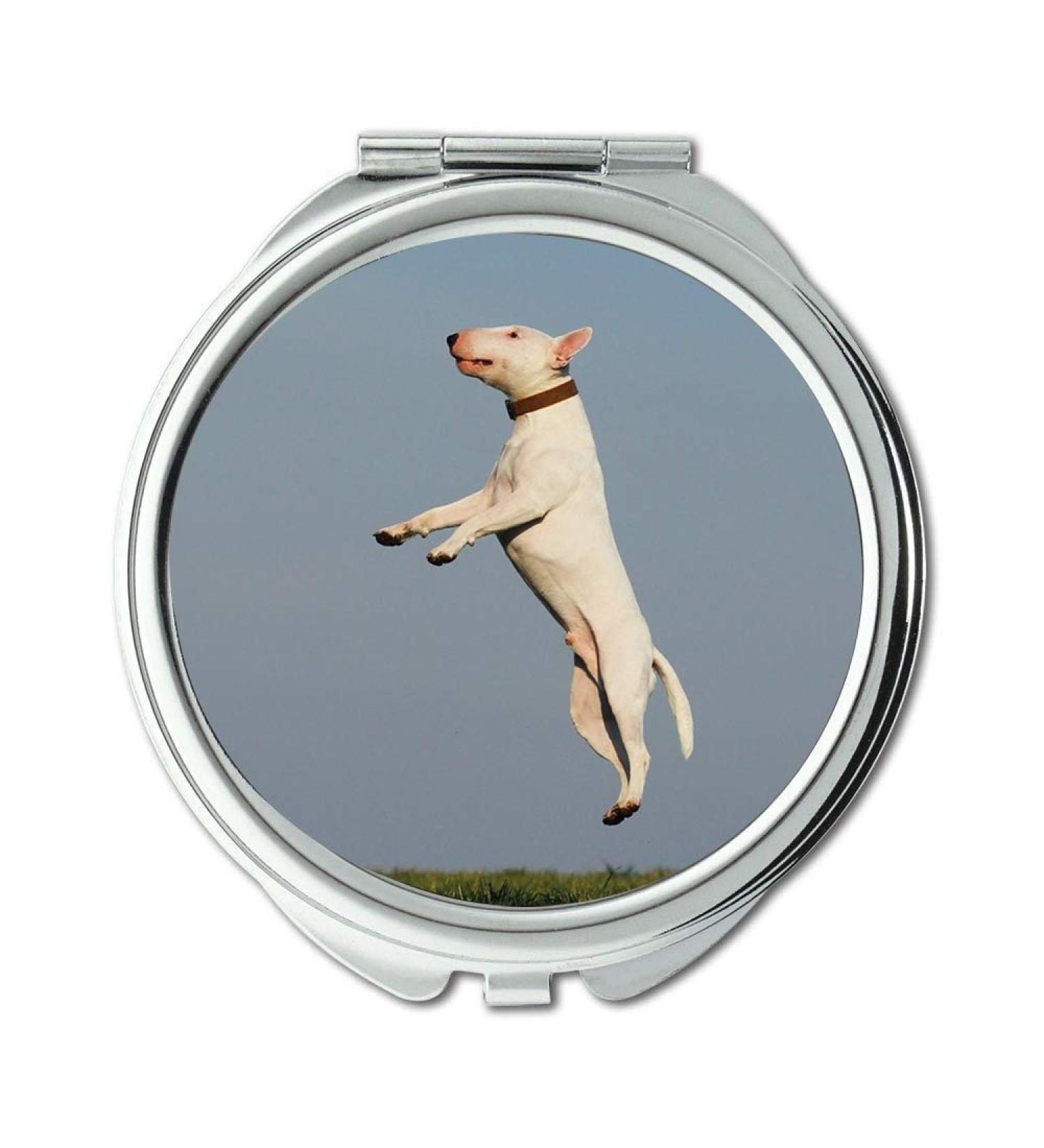 Mirror makeup mirror Dog Training Joy Fun Dog School pocket mirror portable mirror - Buy Online on GoSupps.com