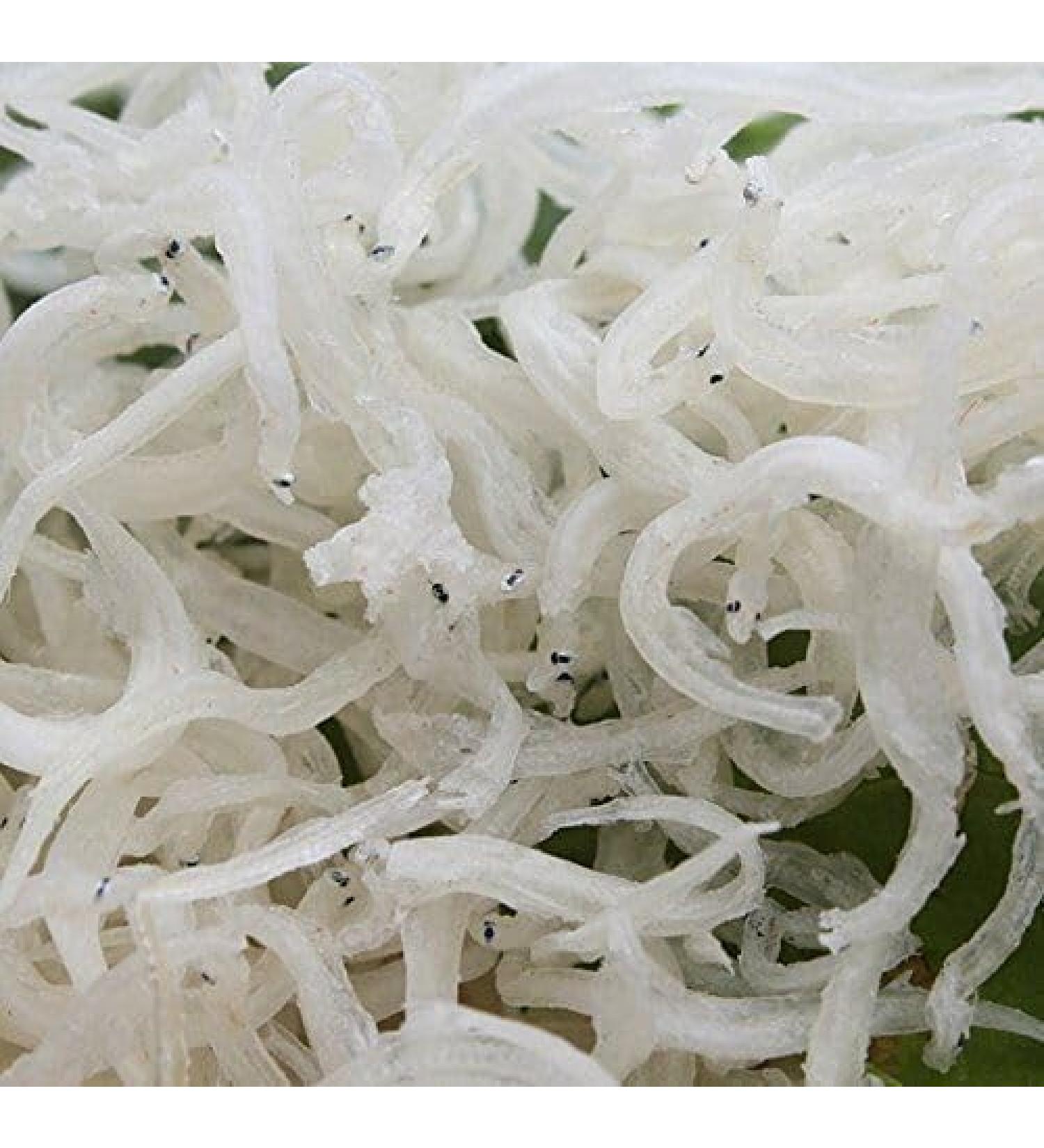 WENXUANSU:3 Pound (1362 grams) Dried seafood tiny silver fish from South China Sea Nanhai - Buy Online on GoSupps.com