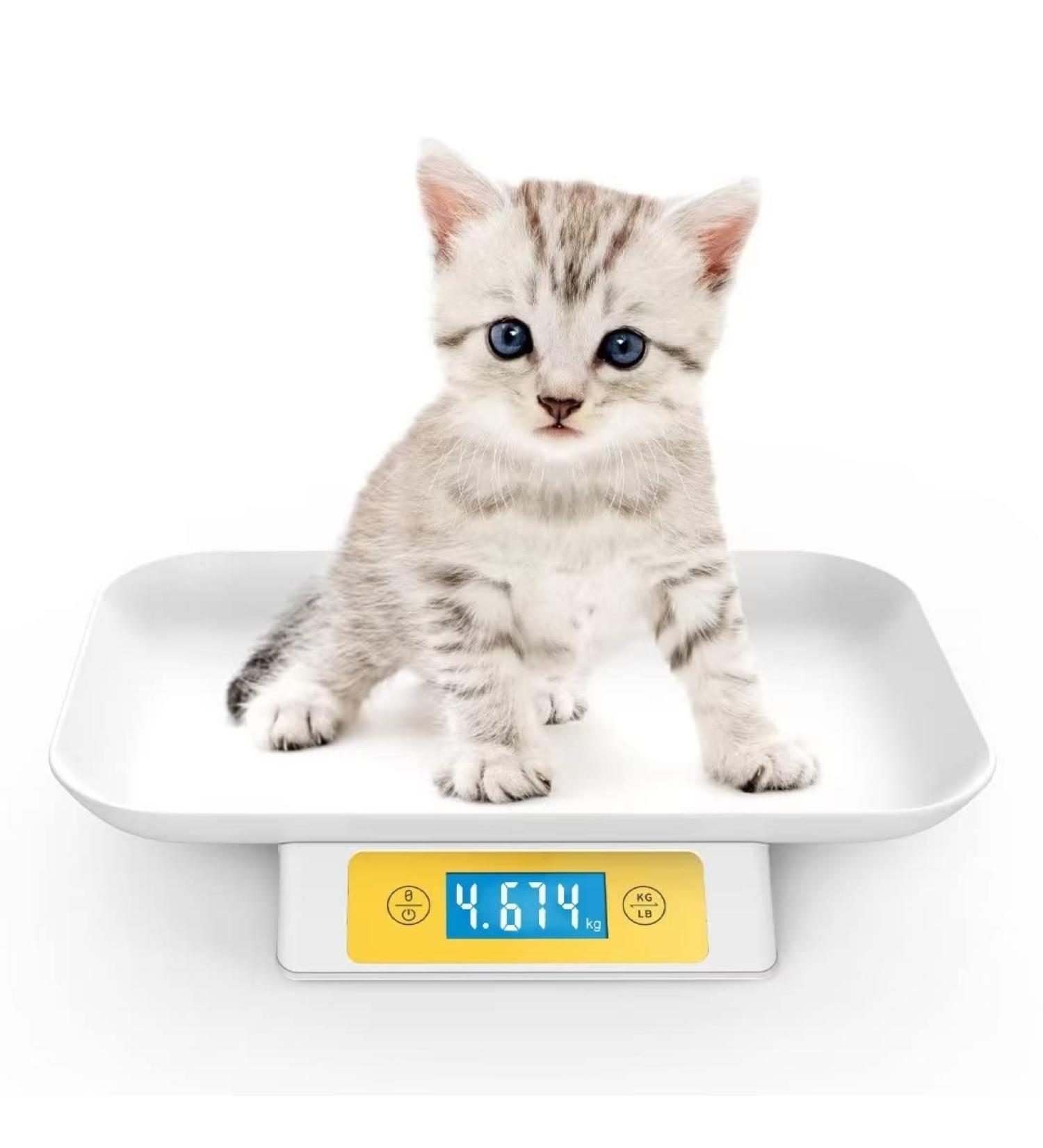 Mindpet-Med Digital Pet Scale for Small Animals - Accurate 1g Measurement 15kg/33lb Capacity Units in g/lb/oz/tl/ml - Ideal for Kittens & Puppies (Yellow) - Buy Online on GoSupps.com