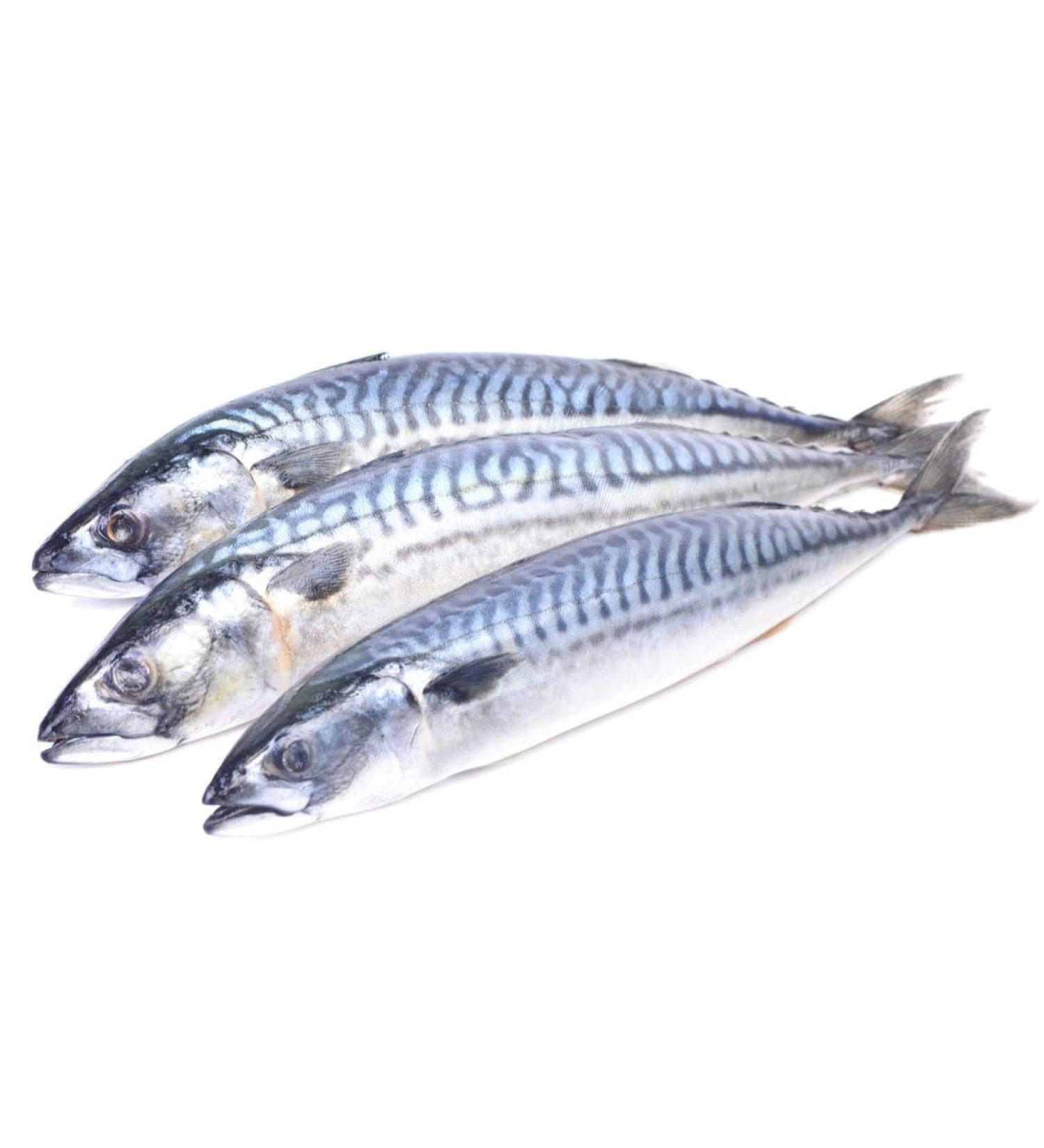 Mackerel 2 kg -/+10%