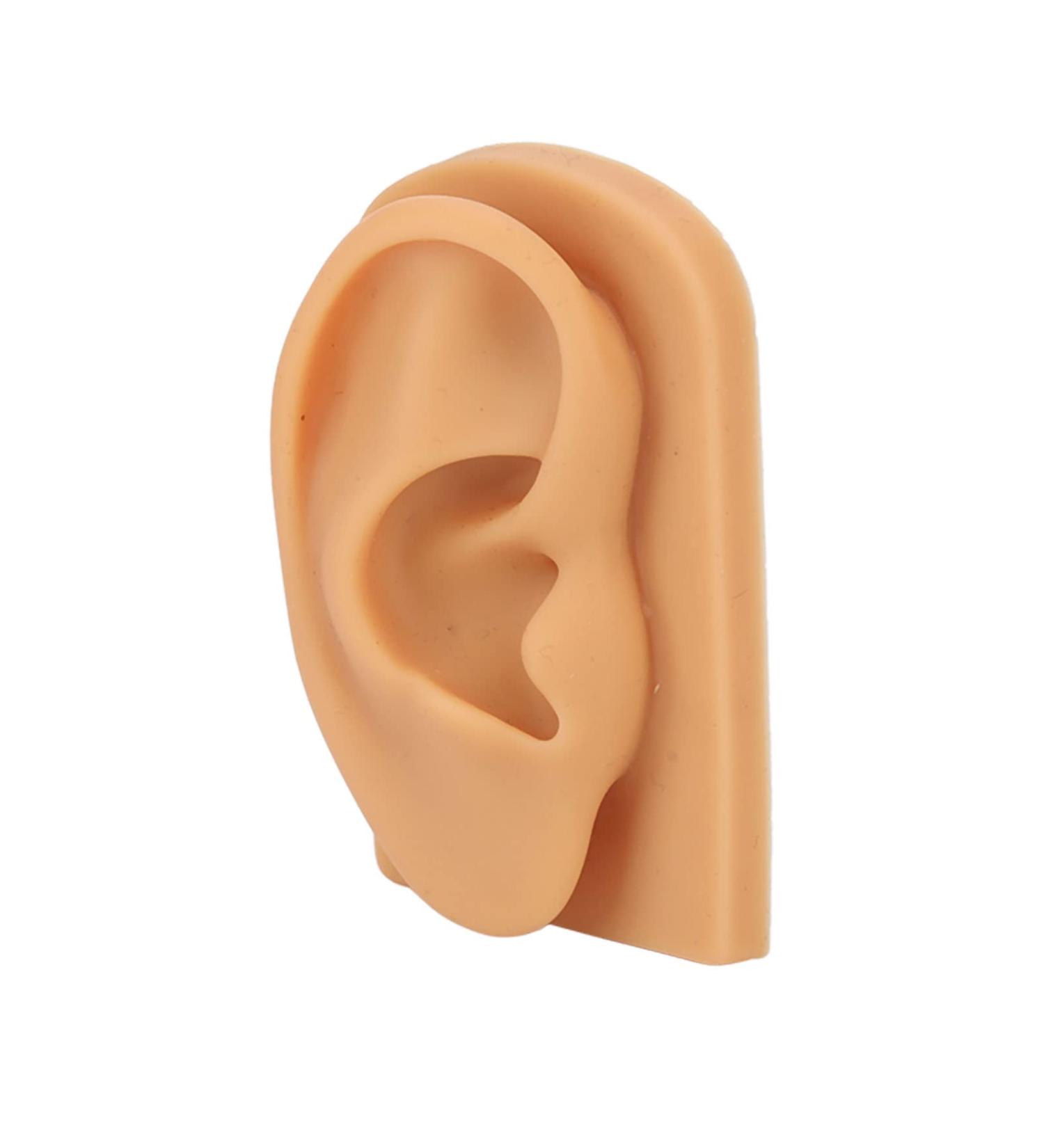 Soft Silicone Right Ear Model - Waterproof Hearing Aid Display Accessories - Buy Online on GoSupps.com