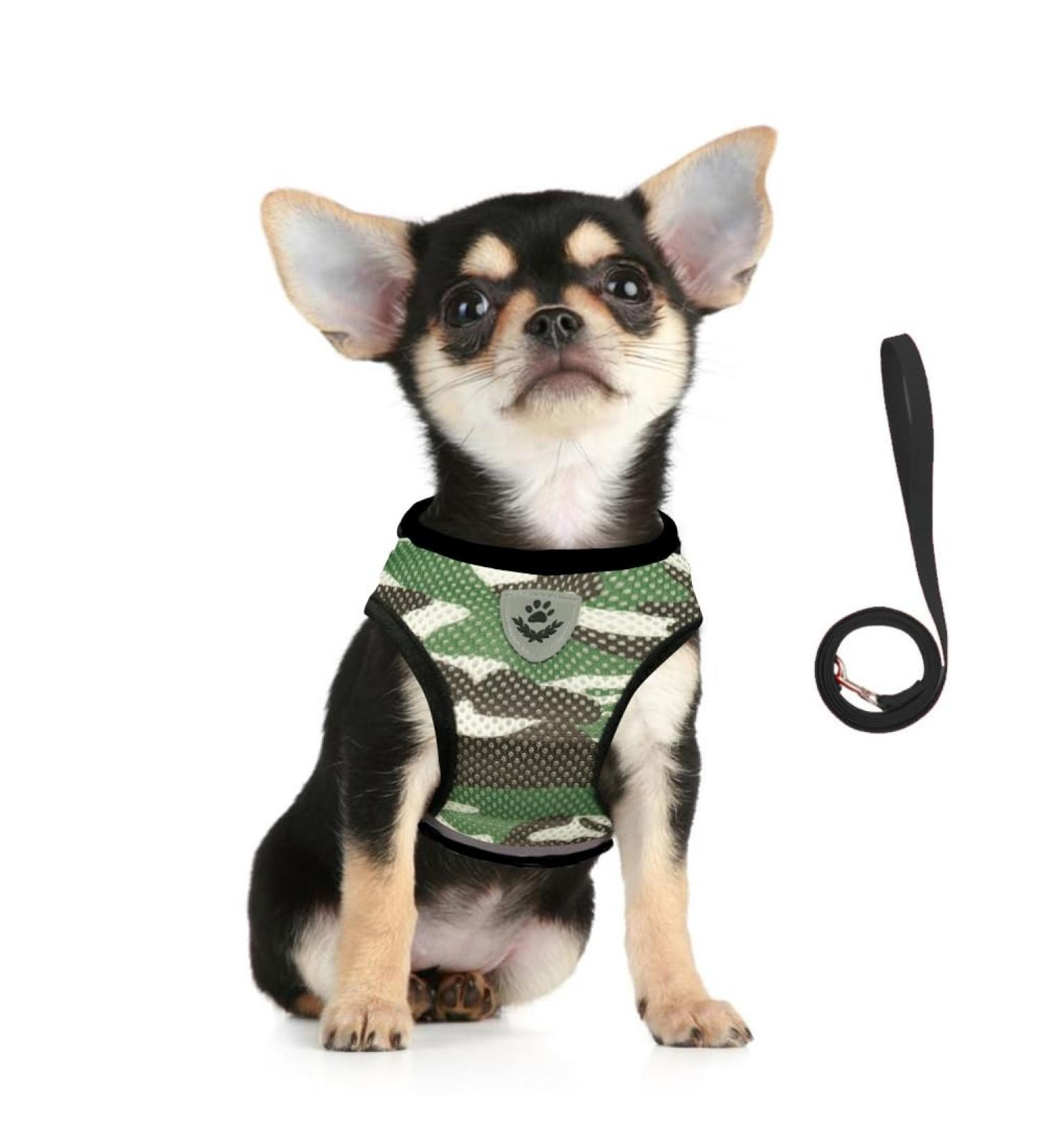 Femax Dog Harness & Leash Set - Soft Mesh Padded Reflective Adjustable for Puppies & Cats - Breathable Camouflage XS (26-29 cm) - Perfect for Walking Running & Training - Buy Online on GoSupps.com