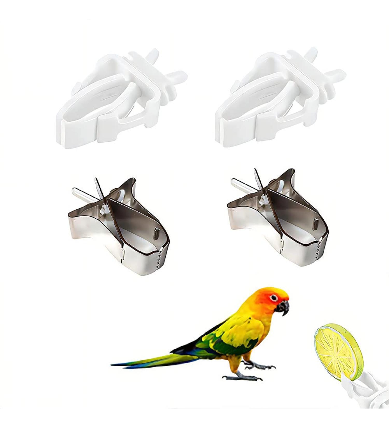 4 PCS Bird Fruit Feeder Cuttlefish Clip Bird Cage Seed Feeder Birds Food Holder Stainless Steel Bird Feeder for Bird Hamster Cockatiel Parrot - Buy Online on GoSupps.com