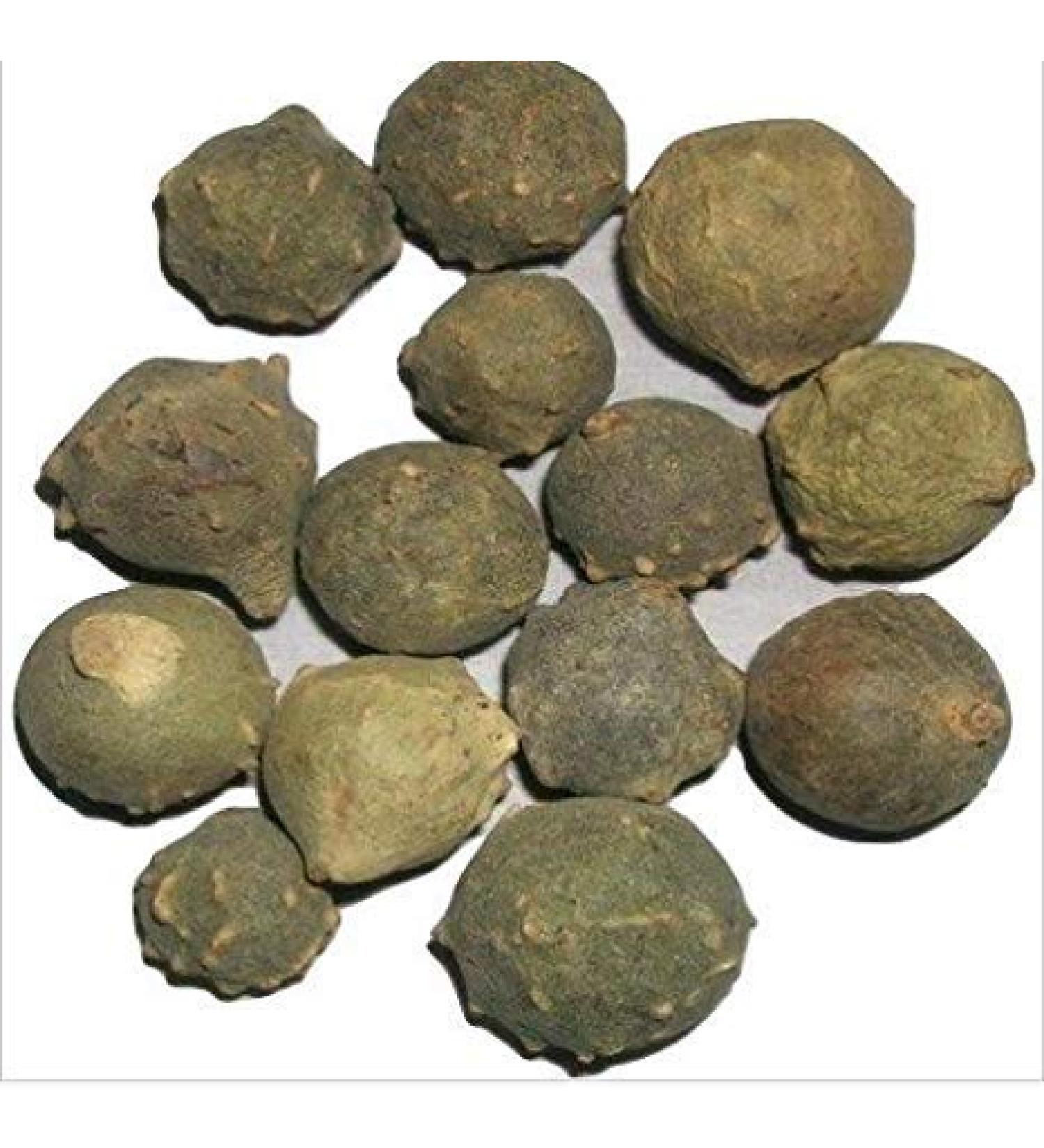 Satisfactory Nation Jadi Booti 200 Gram Maju Phal Majoo Phal Manjakani Quercus Infectoria - Buy Online on GoSupps.com