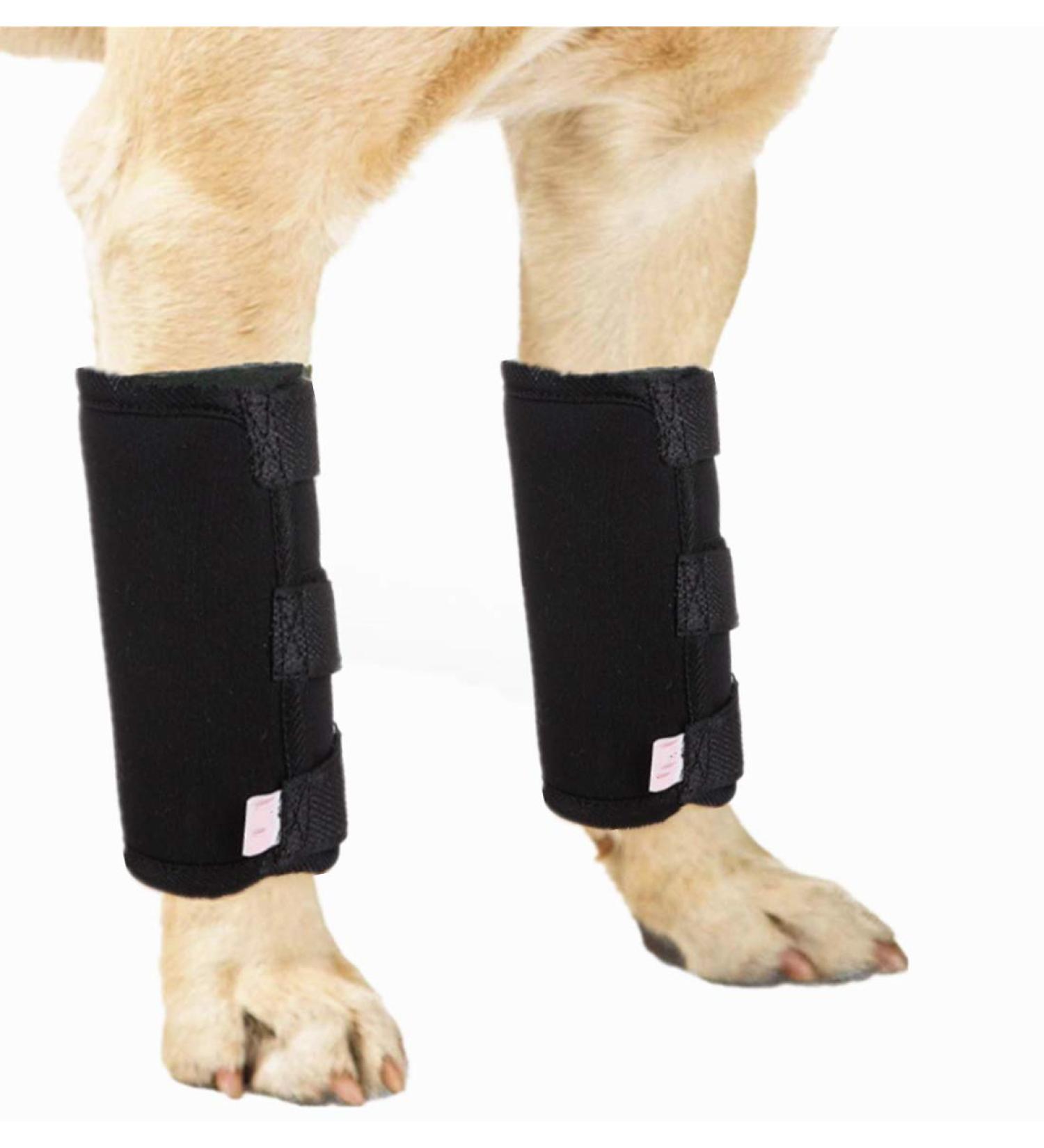Pair of Dog Front Leg Brace - Canine Compression Wrap Protects Wounds Heal Support Due to Arthritis to Prevent Injuries(1 Pair L-XL) - Buy Online on GoSupps.com