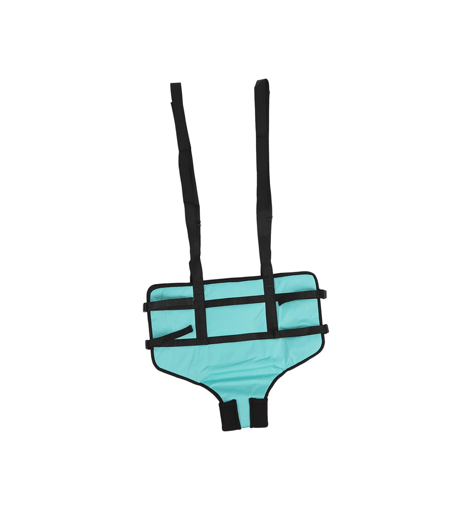 Patient Sling & Lifting Slings Safe Dirt-Resistant Reinforced Nylon Standing Aids for Manual Lifting - Buy Online on GoSupps.com