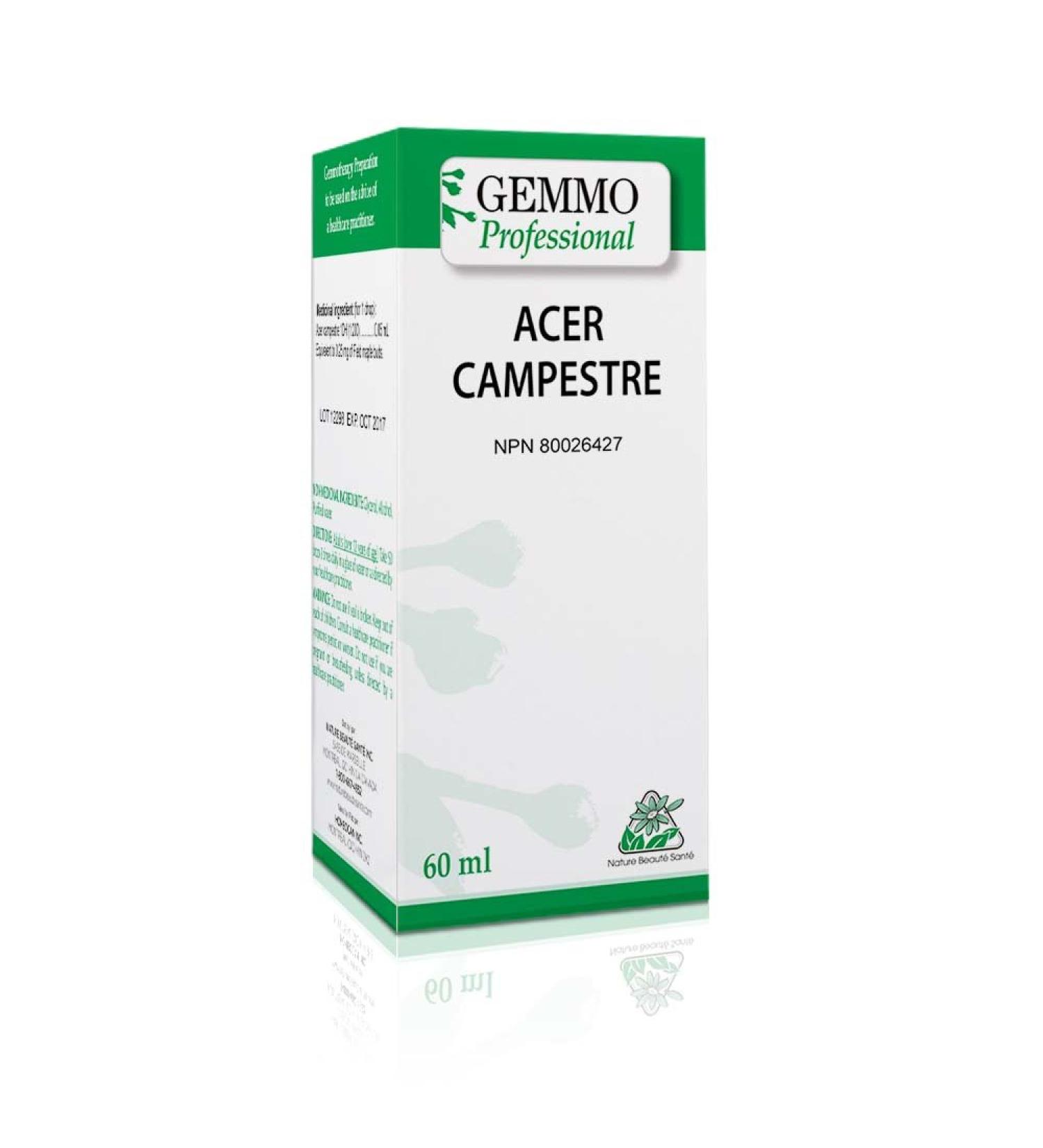 Acer campestre 60 ml Organic | Gemmo Professional