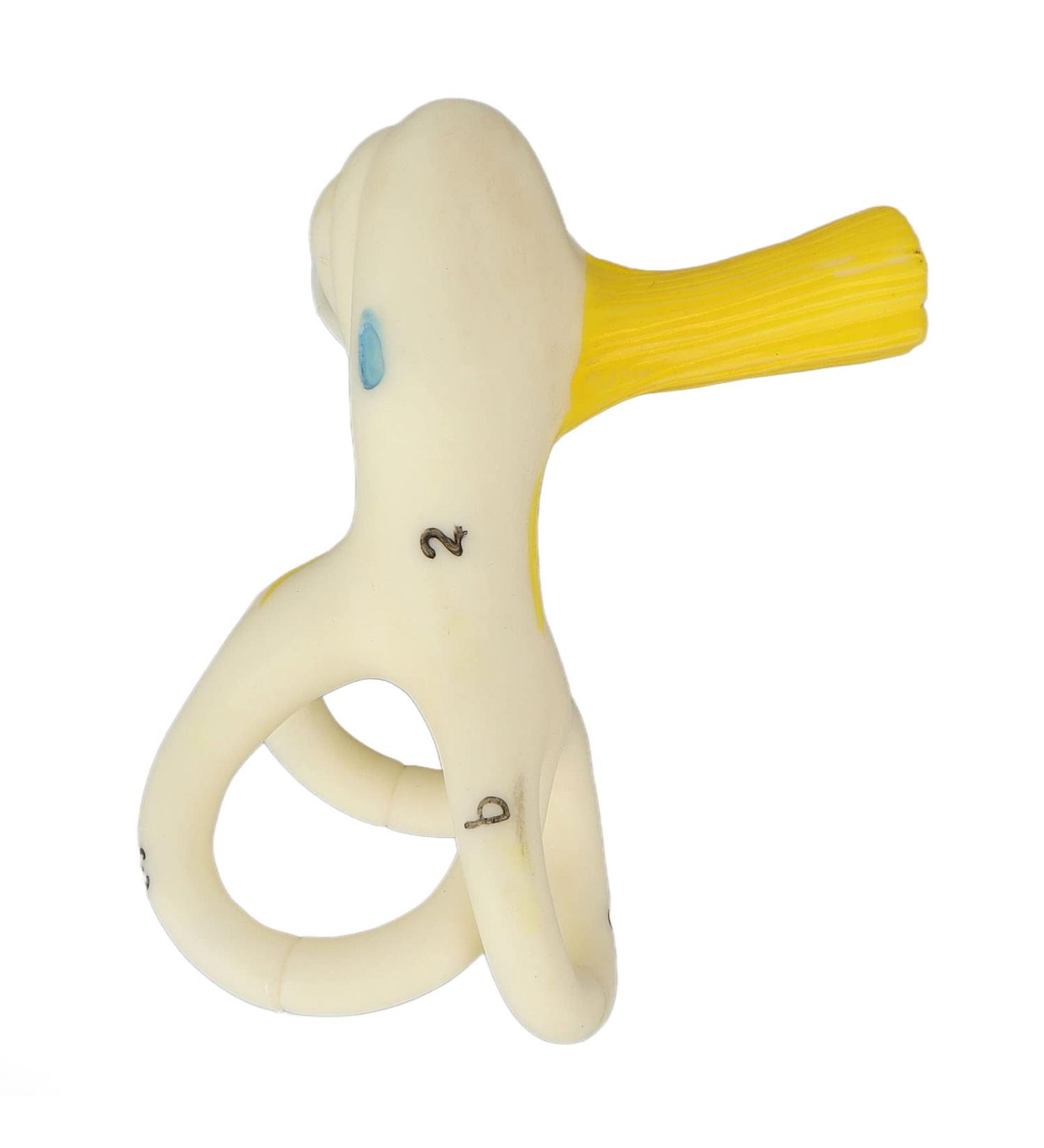 5X Magnification Ear Model - Clear PVC Design for Teaching Inner Ear Structure - Buy Online on GoSupps.com