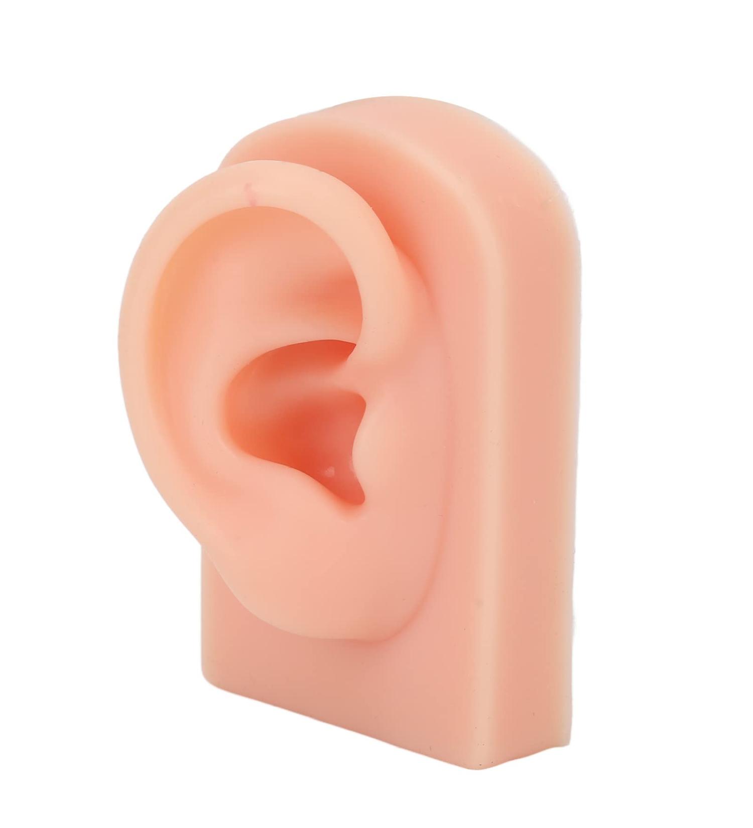 Soft Silicone Human Ear Model- Reusable Fake Ear for Piercing Training and Display - Buy Online on GoSupps.com
