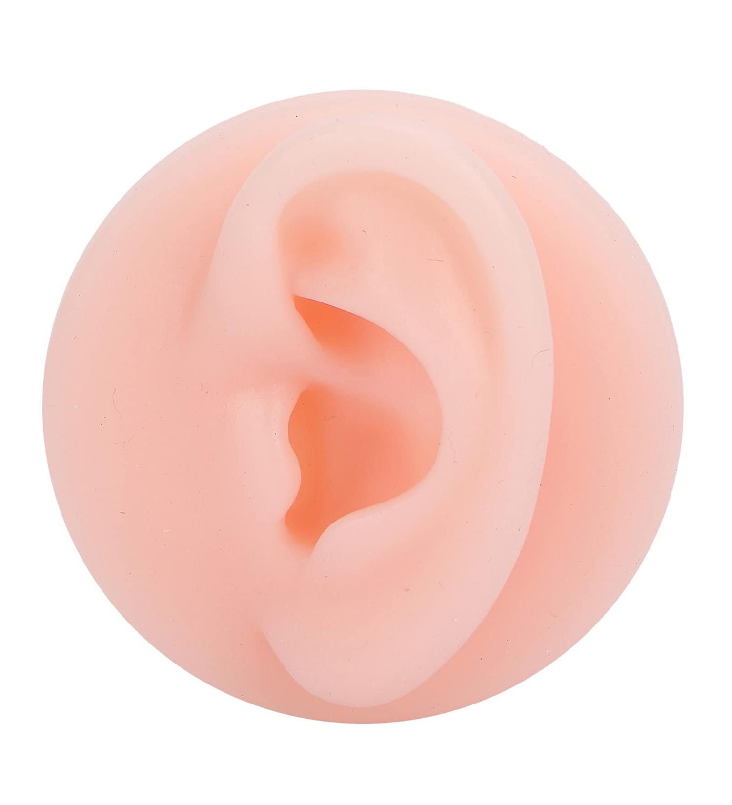 Shop Silicone Ear Model | Washable & Reusable Human Ear for Earring Practice | Left Ear Simulation - Buy Online on GoSupps.com