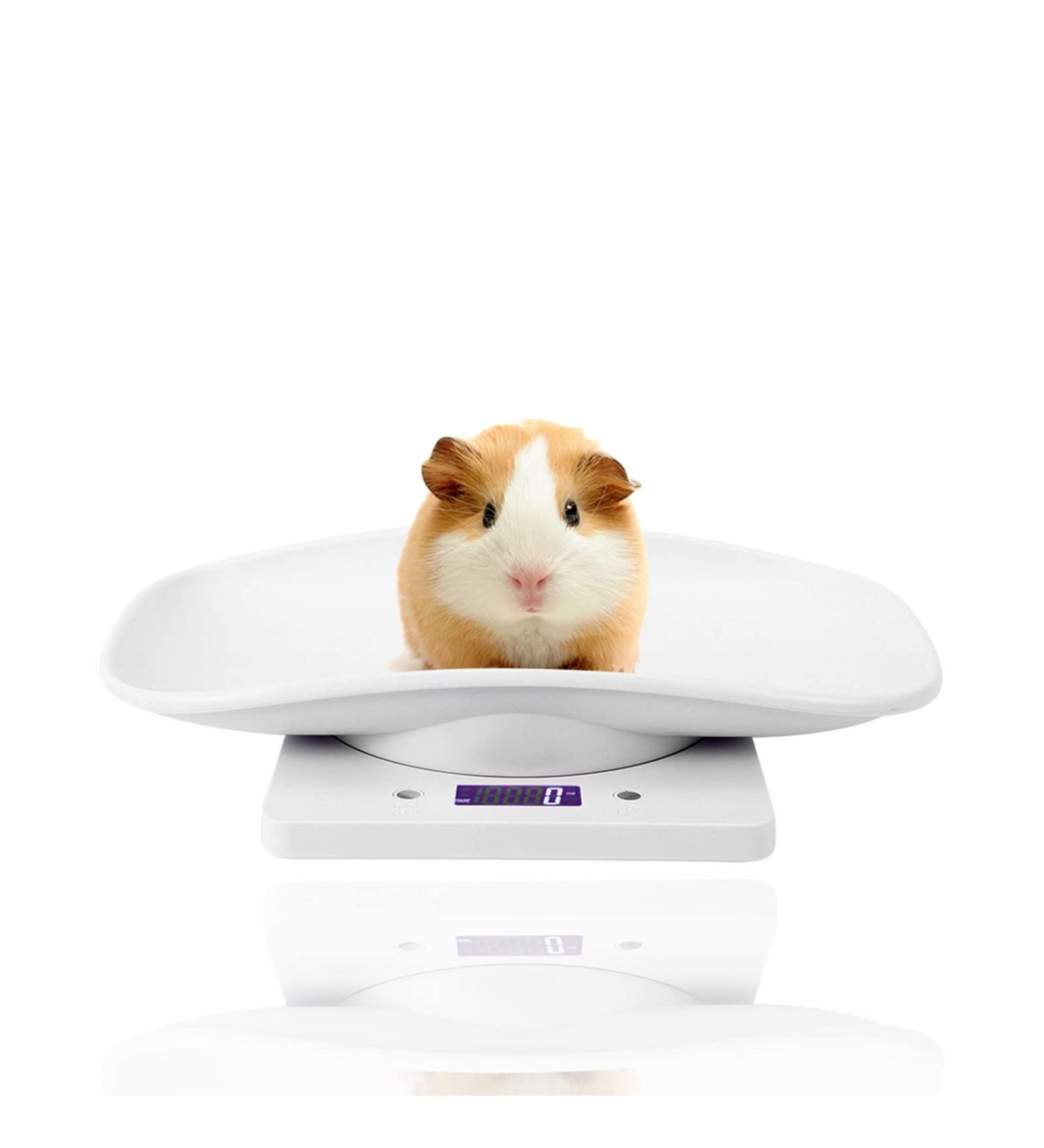 10kg/1g Pet Scale Electronic Small Animal Scale High Precision Pet Scale for Weighing Small Milk Cats and Small Dogs - Buy Online on GoSupps.com