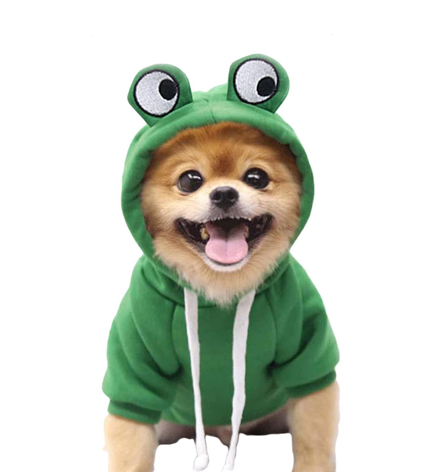 Xiaoyu Frog Pet Costume | Christmas Dog Hoodie & Halloween Cosplay Fleece Sweatshirt for Small Puppies - Buy Online on GoSupps.com