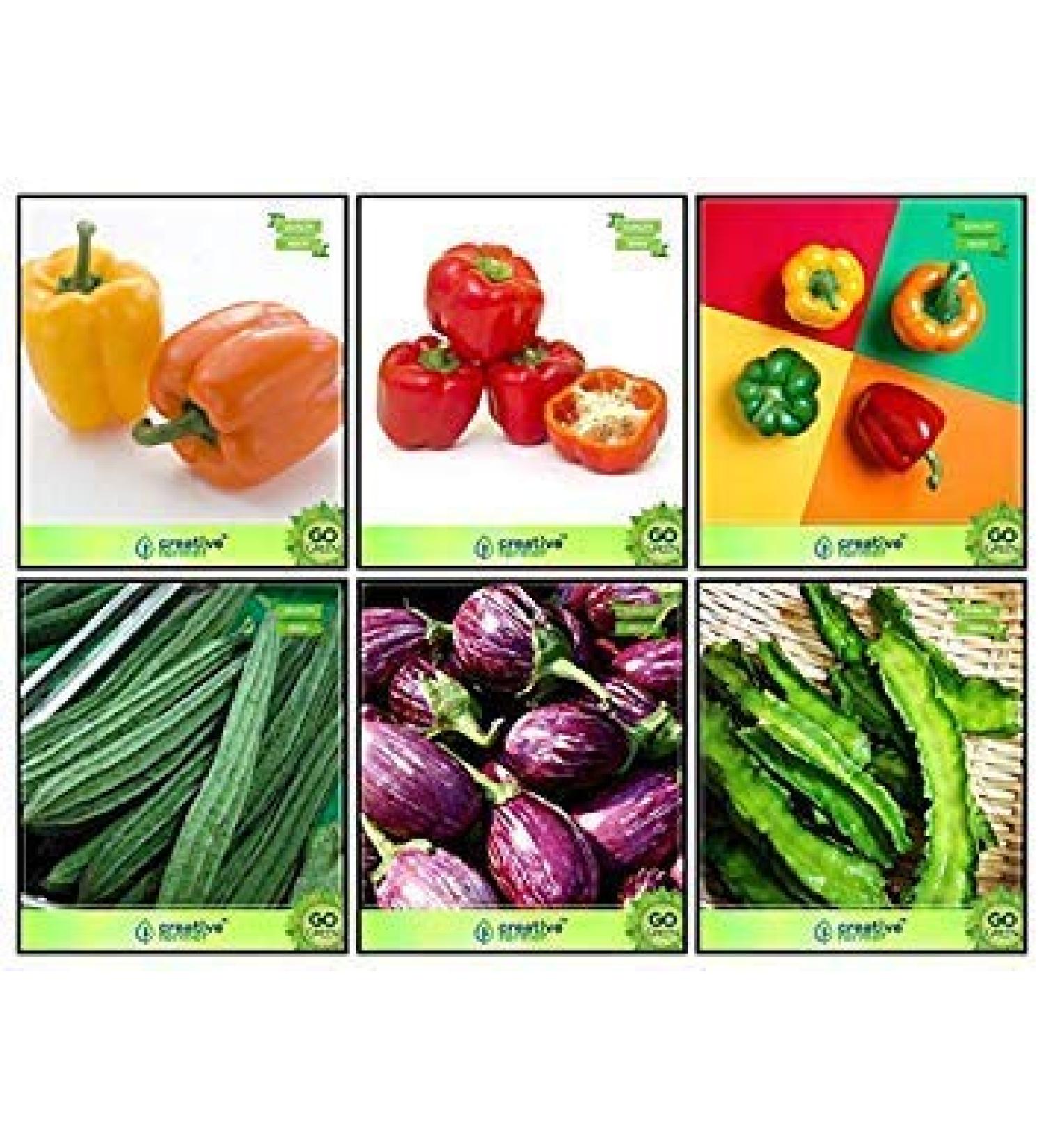 Seeds Online India Combo Flower and Vegetable Seeds Seeds Ridgegourd Snakegourd Winged Bean Revathy Orange Capsicum Red Peppers Yellow Pepper Kitchen Garden Pack