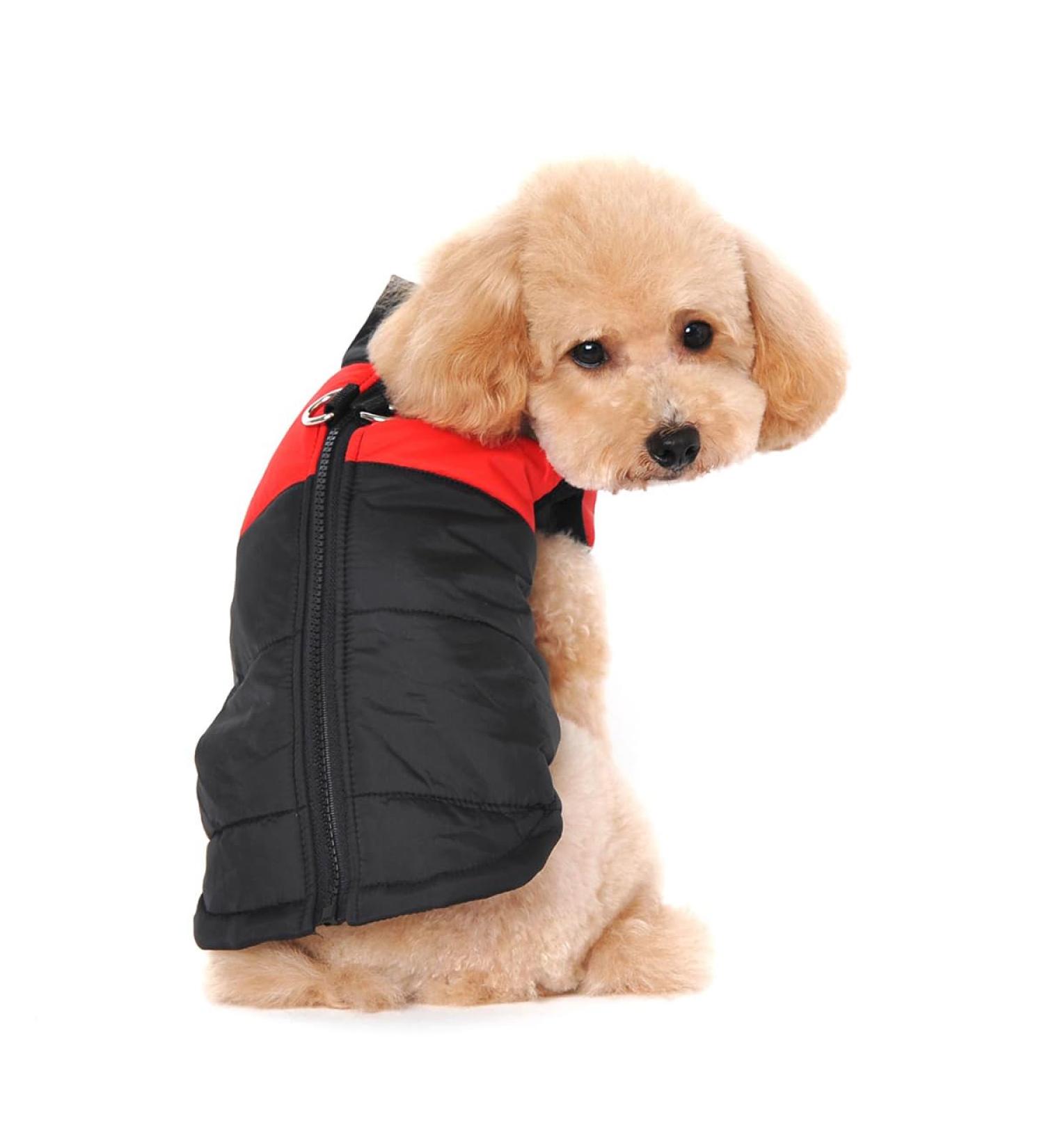 Ectkuee Winter Warm Waterproof Dog Coat Jacket for Small Dogs - Padded Puffer Pet Clothes in XXL Rouge - Buy Online on GoSupps.com