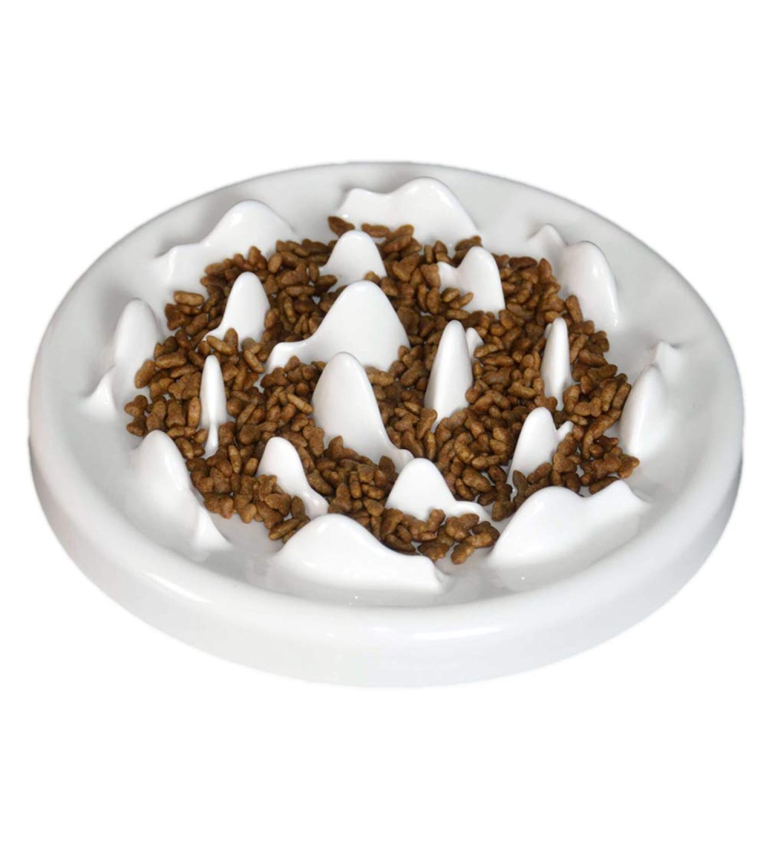Lorde Ceramic Slow Feeder Cat Bowl - Interactive Bloat Stop Puzzle for Healthy Eating | Dog & Pet Slow Feeding Bowl - Buy Online on GoSupps.com