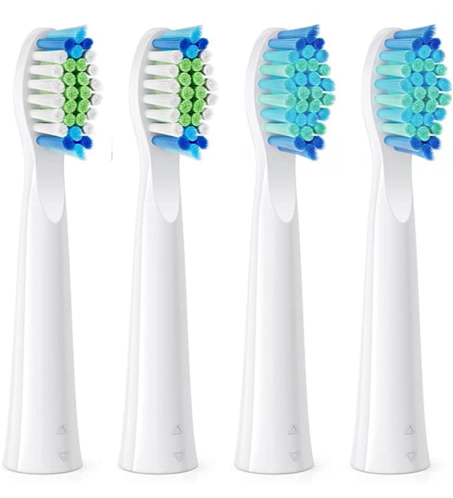 Buy 4 Replacement Heads for Bitvae Sonic Toothbrush Daily D2 Enhanced Oral Care International Shipping Available - Buy Online on GoSupps.com