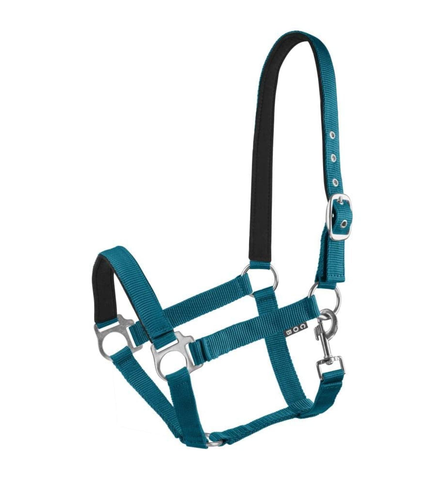 Start Economic Lined Halter For Horses Third -in -Lacon Pony - Stallhalter with two -stage adjustment - chin and neck piece - pasture horse halter halter warm blood neoprene -fed (petrol blue pony) pony petrol blue
