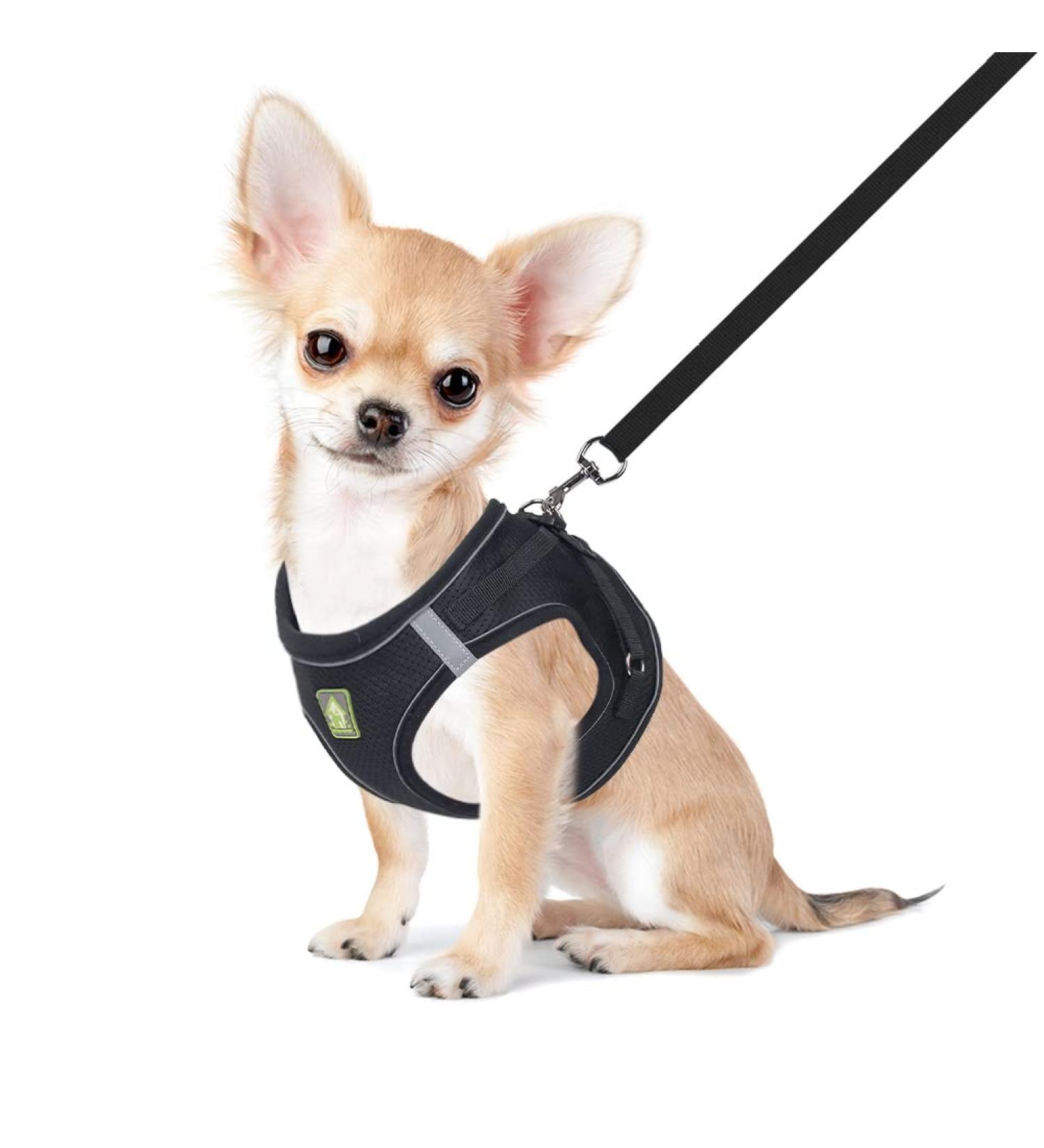 Femax Soft Mesh Dog Harness with Leash for Small & Medium Dogs | Adjustable Reflective No Pull Vest for Chihuahua & Cats - XS (26-29cm) - Black - Buy Online on GoSupps.com