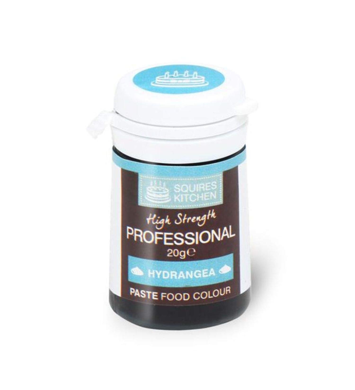 Squires Kitchen Professional Paste Colour - Hydrangea (20g)