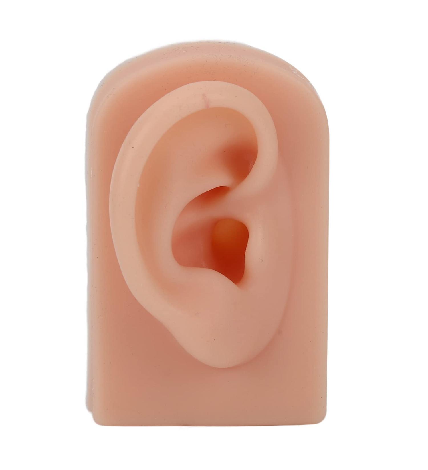 Silicone Ear Model for Piercing Training | Soft Flexible & Reusable Human Ear Display (Dark Skin Color) - International Shipping Available - Buy Online on GoSupps.com