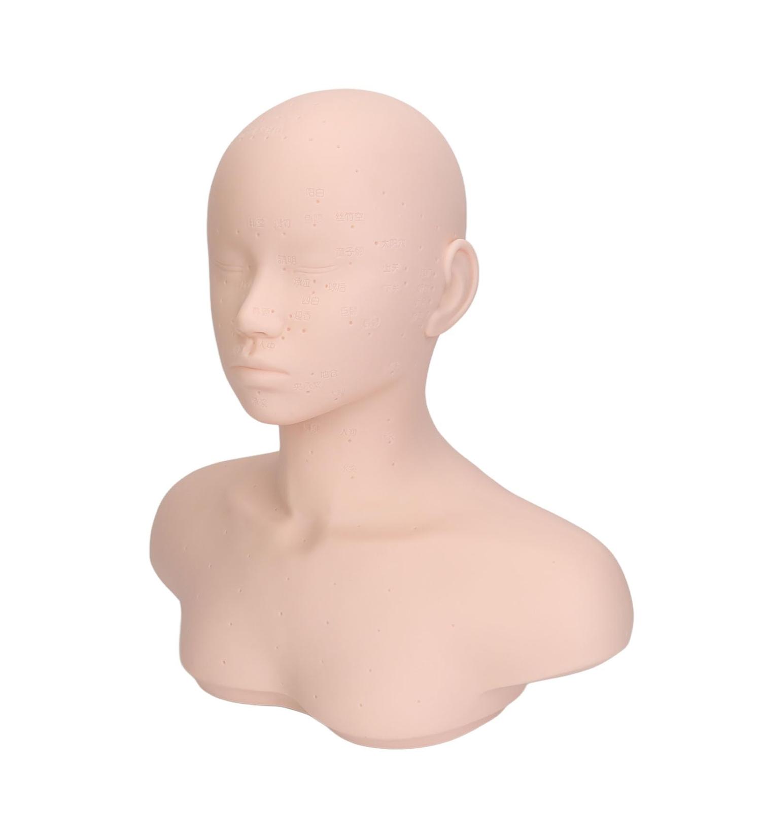 T te de Mannequin de Massage avec paules Points D'acupuncture Int gr s Mat riau de qualit Sup rieure pour Entra nement de beaut Pratique de L'acupuncture - Buy Online on GoSupps.com
