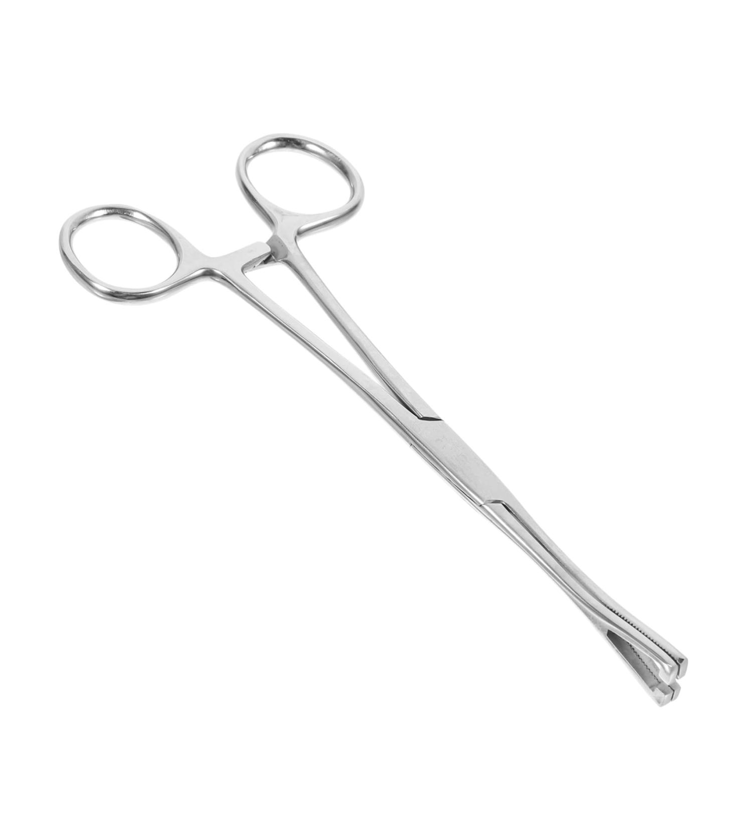 CORHAD Reptile Feeding Clip Reptile Tongs Feeding Reptile Tools Stainless Steel Silver - Buy Online on GoSupps.com
