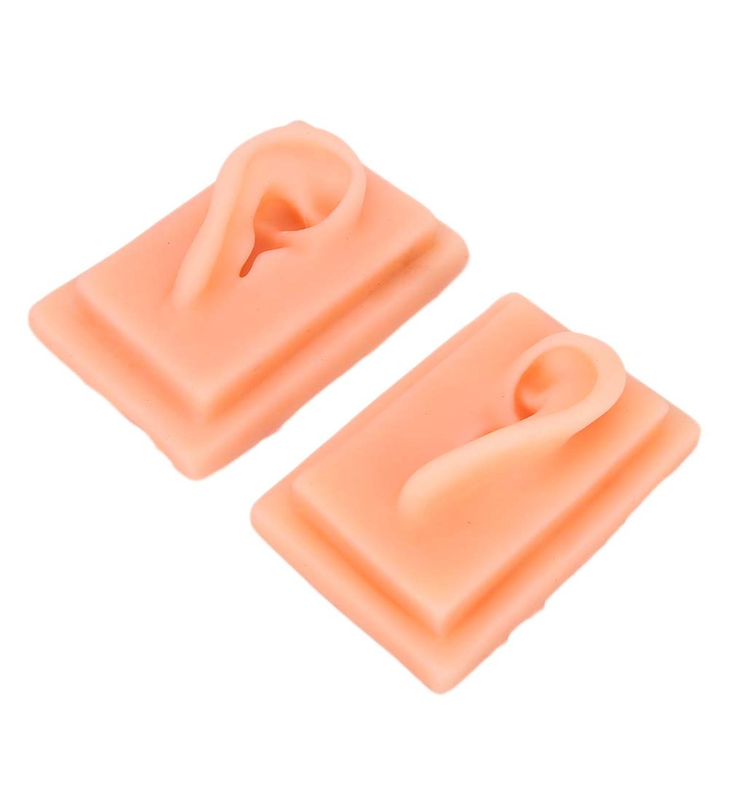 Acupuncture Ear Model for Practice | 2-Piece Set | Smooth Texture | Ideal for Students - Buy Online on GoSupps.com