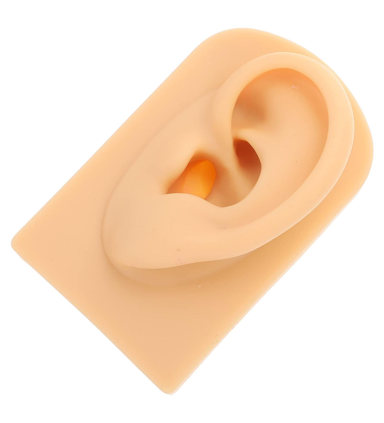 Beaupretty Human Ear Model Durable Silicone for Ear Piercing Training for Education and Practice Complexion 1 - Buy Online on GoSupps.com
