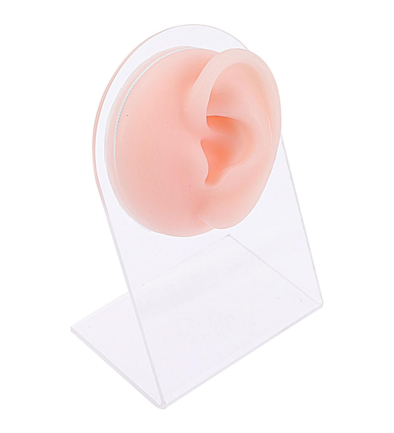 Piercing Kit Jewelry Tools | Silicone Ear Model for Ear Piercing Set | Reusable Fake Ears Necessities - 11.5x7.5cm - Buy Online on GoSupps.com