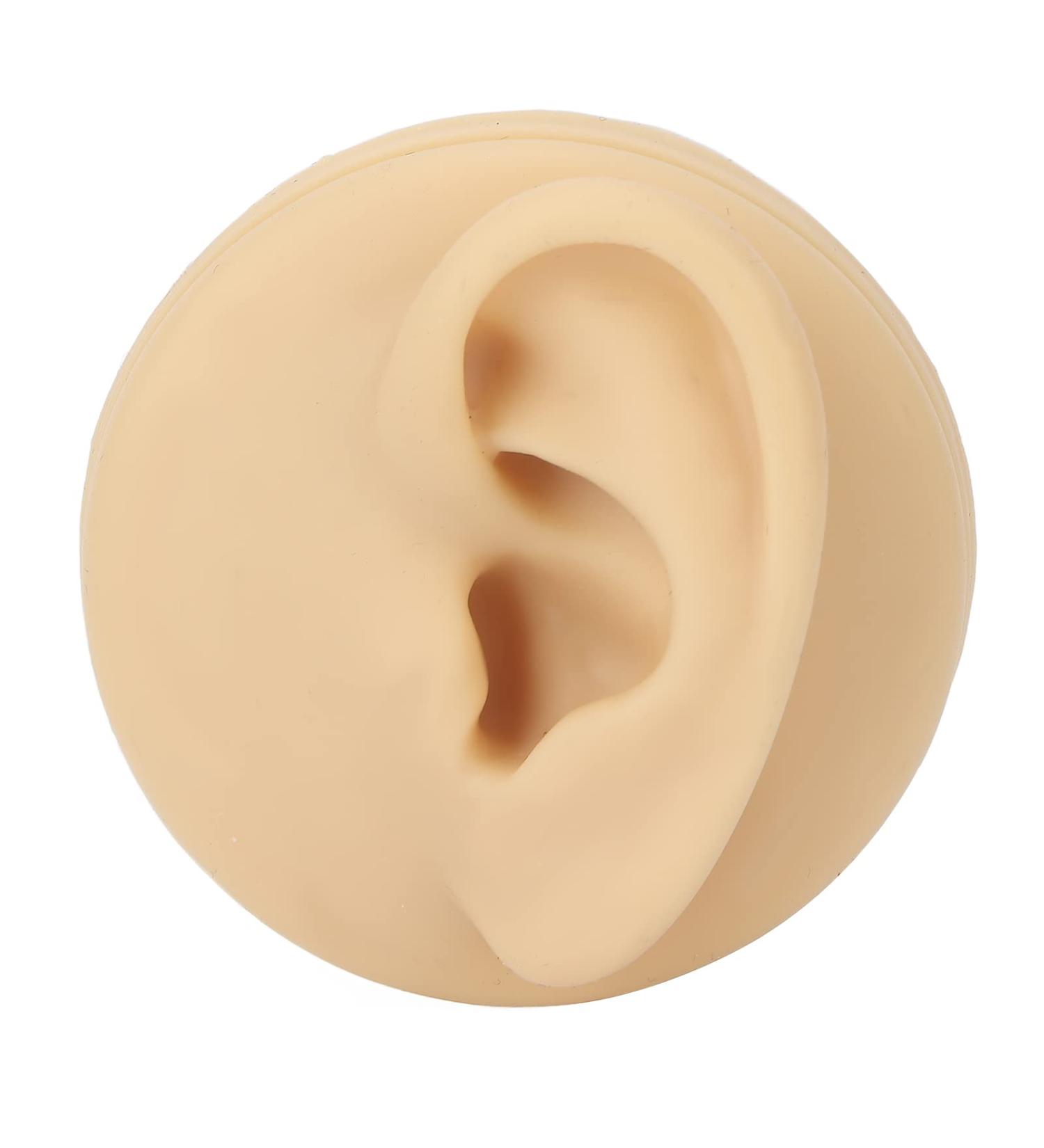Silicone Ear Model for Earrings | Ear Acupuncture & Jewelry Display | Perfect for Training & Teaching - Buy Online on GoSupps.com