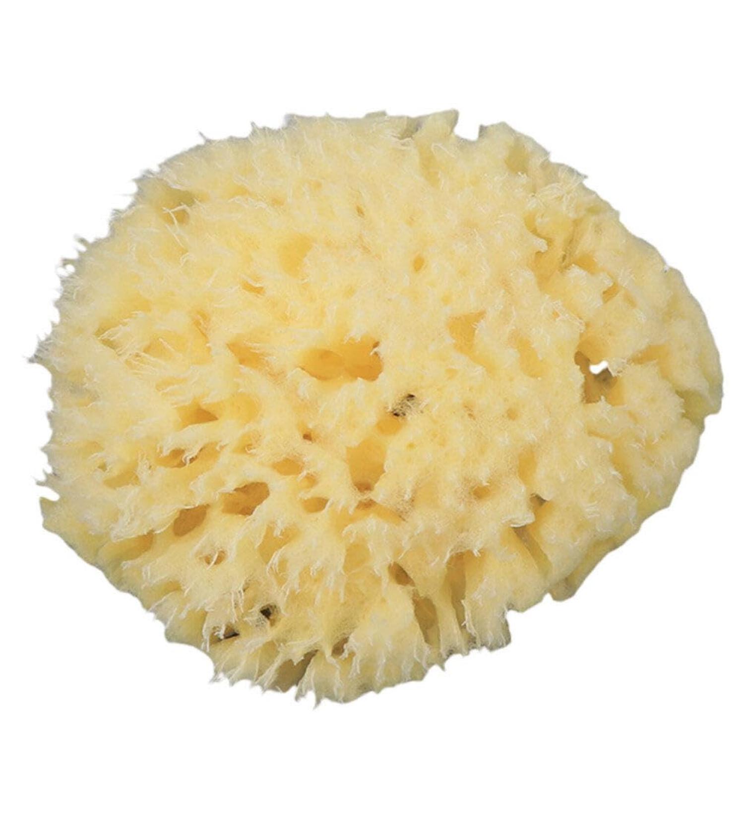 Yardwe Body Wash Scrubber Esponja para Ba arse Bath Scrubber for Body Cleaning Scrubber Skin Scrubber Bathroom Shower Ball Shower Supplies Bath Ball Baby Sponge Take a Bath Accessories - Buy Online on GoSupps.com