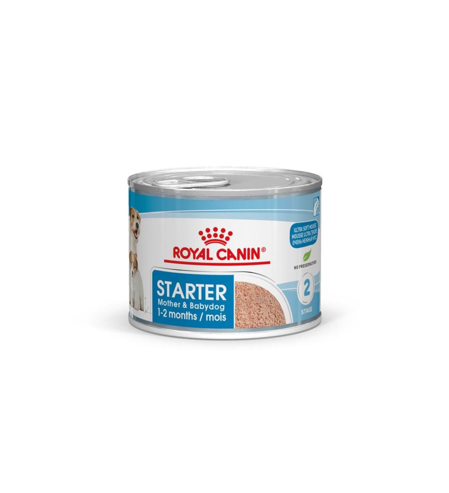 Royal Canin Starter Mousse Mother & Babydog | 12 x 195 g | Ultra Soft Mousse Wet Food | For Female Dogs in the Last Third of Pregnancy and During the Lactation Period - Buy Online on GoSupps.com