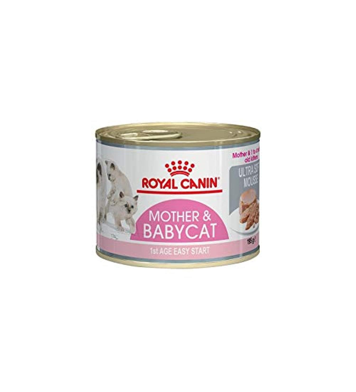 ROYAL CANIN First Age Mousse Mother & Baby Cat Wet Cat Food - 12 x 195g - Buy Online on GoSupps.com