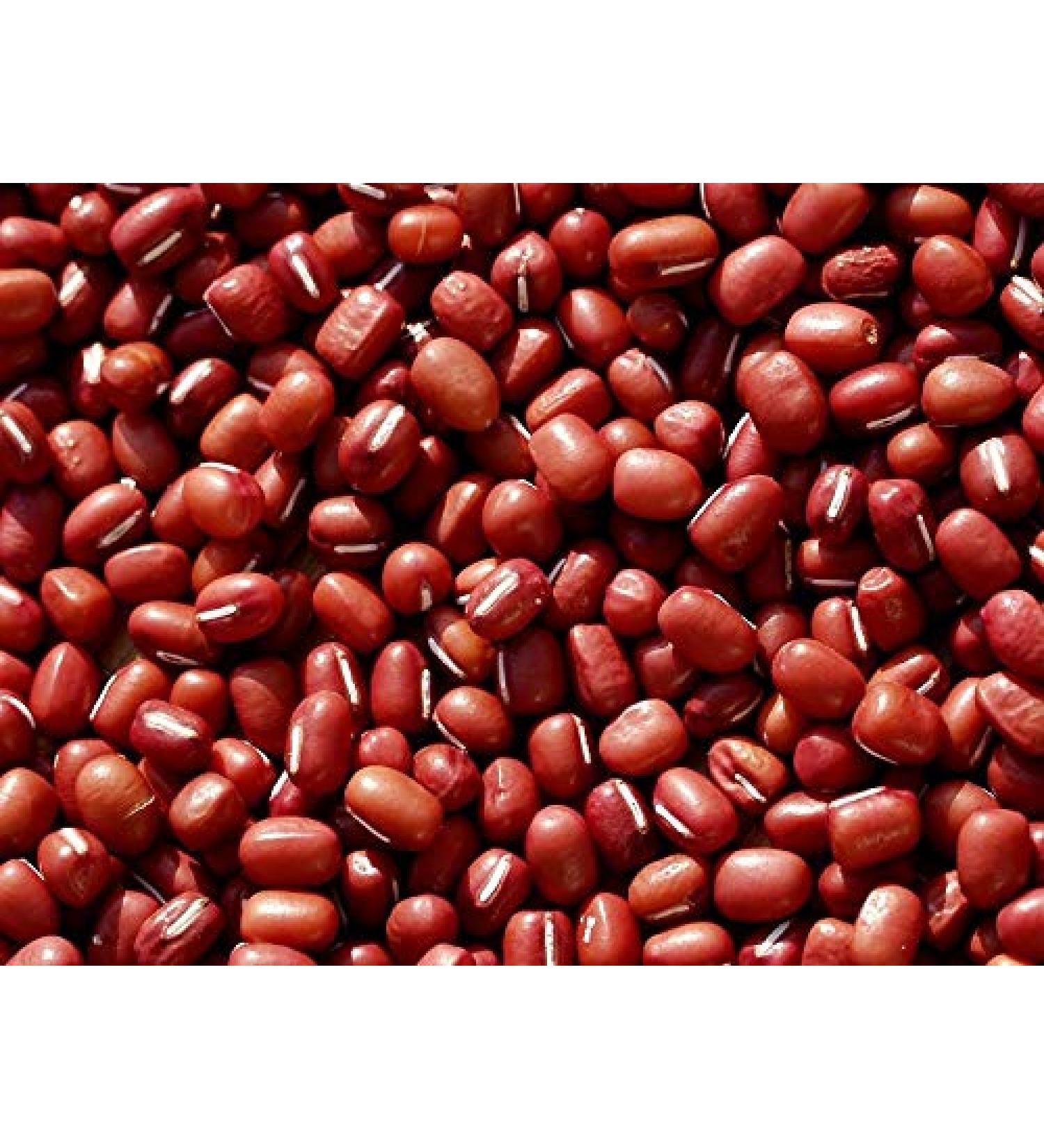 Balsara's 500g of organic Adzuki red chori beans (Vigna Angularis). Suitable for sprouting beans soups stews casseroles curries desserts and as a protein.
