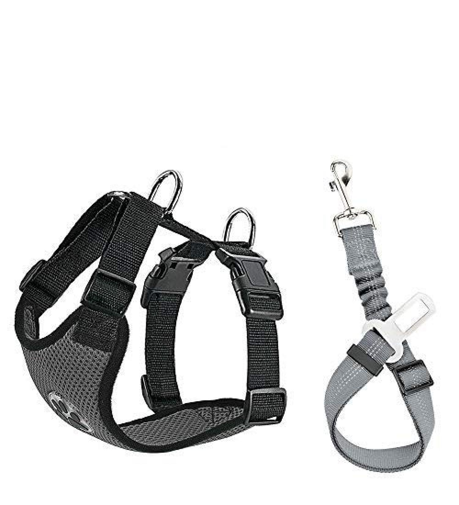 Slowton XS Dog Harness with Safety Belt for Car - Breathable Latex Network Ideal for Everyday Sports - Dark Gray - Buy Online on GoSupps.com