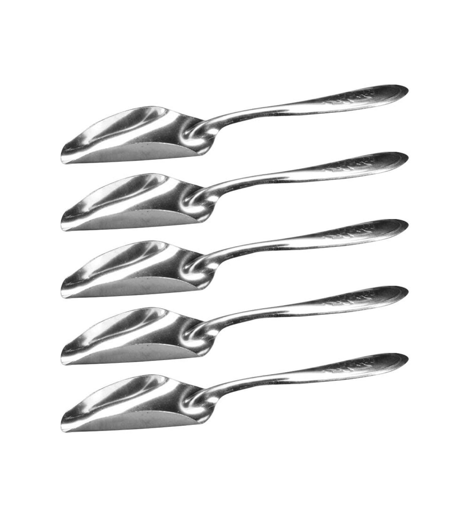 5Pcs Pet Bird Parrot Hand-Feeding Food Milk Powder Spoons Stainless Steel Spoons Bird Feeder - Buy Online on GoSupps.com
