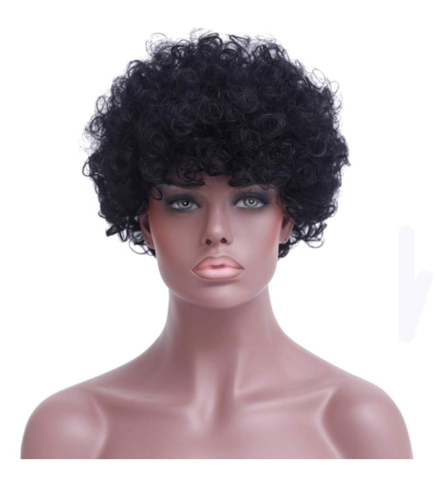 Buy SHIYID Short Afro Wig - Synthetic Black Curly Wig for Black Women | Heat Resistant Fiber | International Shipping - Buy Online on GoSupps.com