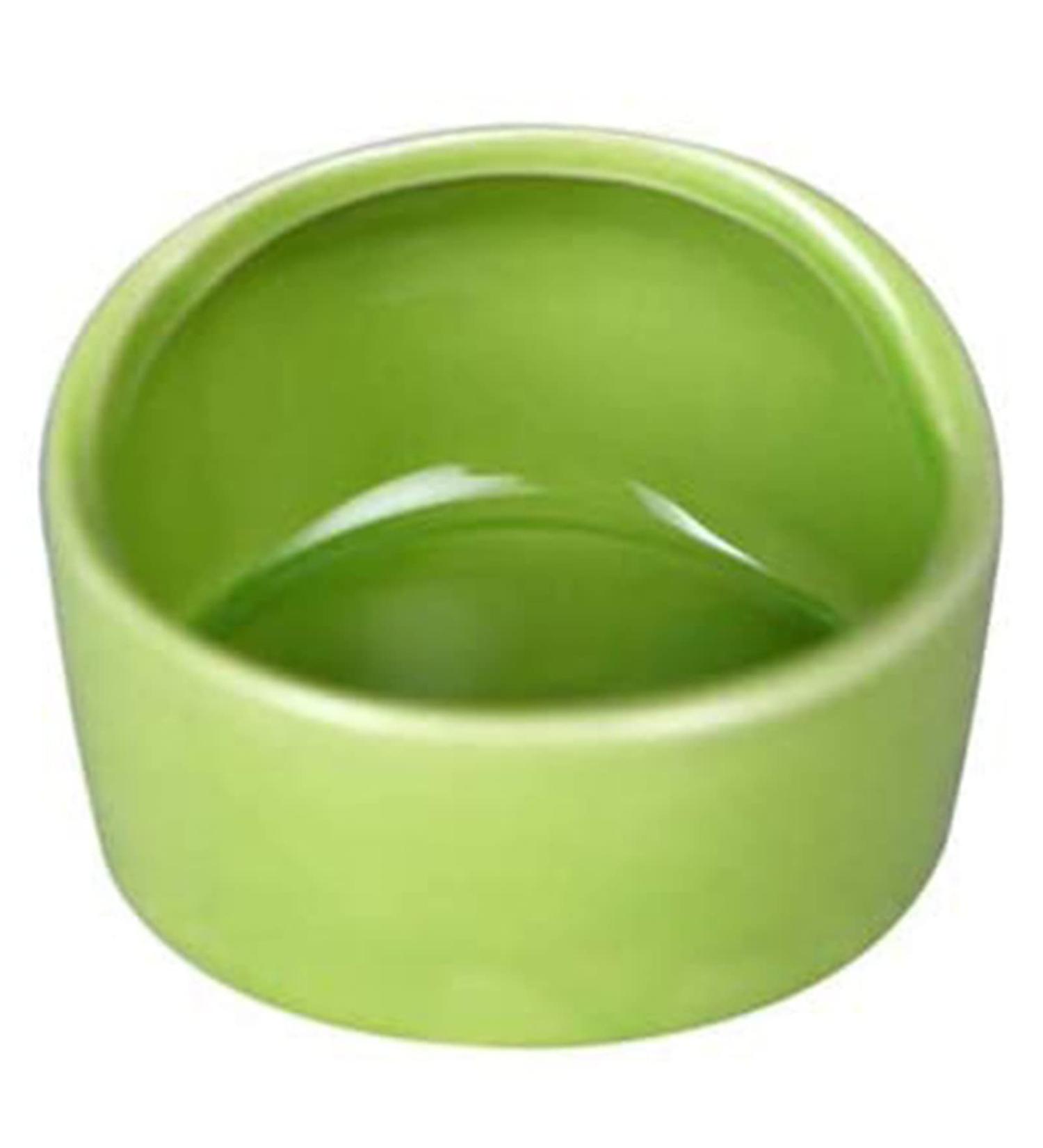 CAJHFIZHANGU 1pc Gradient Side Hamster Ceramic Bowl Hamster Food Bowl Ceramic Water Bowl Small Animal Water Bowl Anti-bite Small Animal Food Bowl Water Feeder for Rabbit Hedgehog Guinea-Pig Green - Buy Online on GoSupps.com
