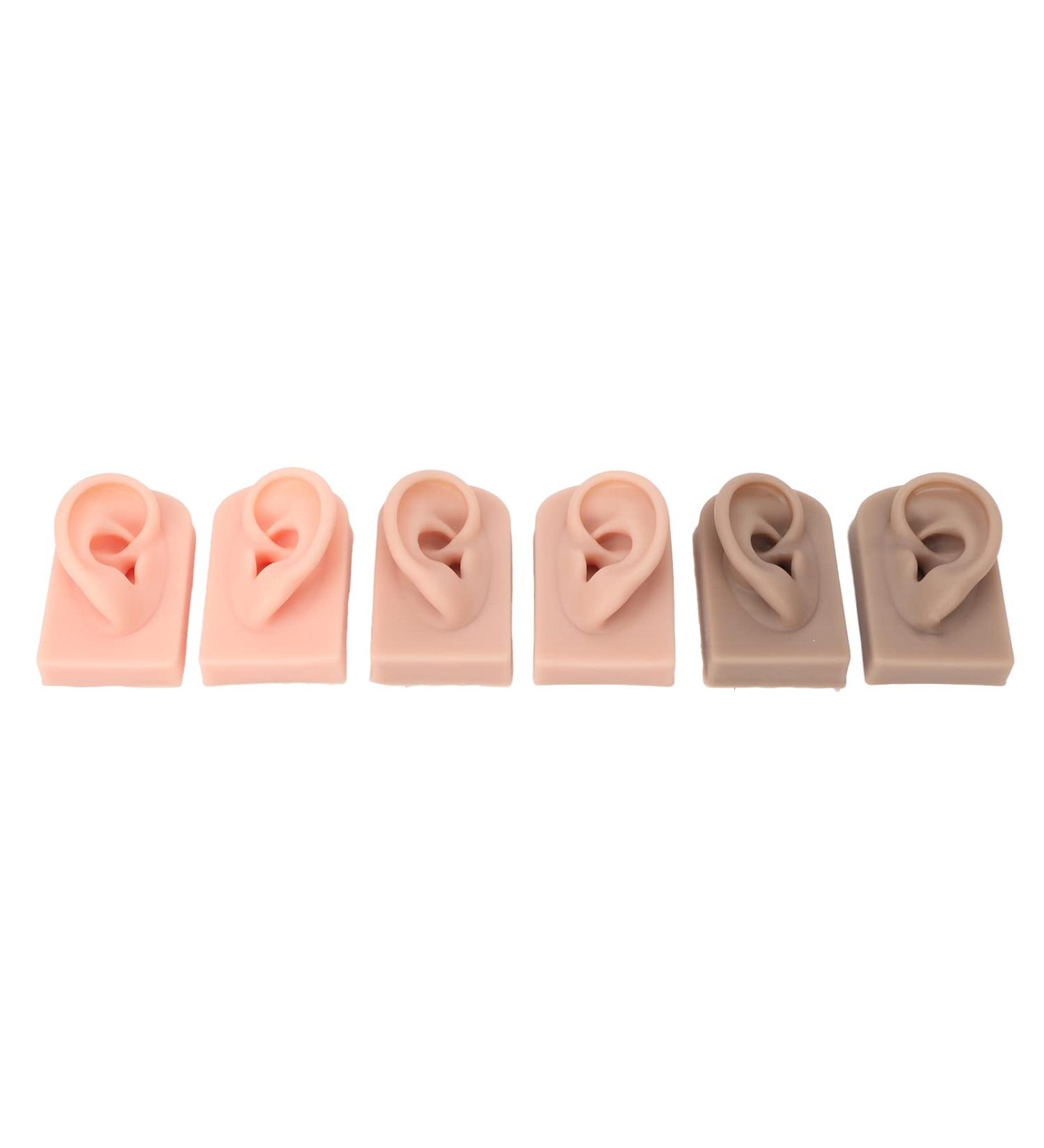 3pcs Silicone Ear Models for Ear Massage Practice - Ideal for School and Hospital Teaching Display - Buy Online on GoSupps.com