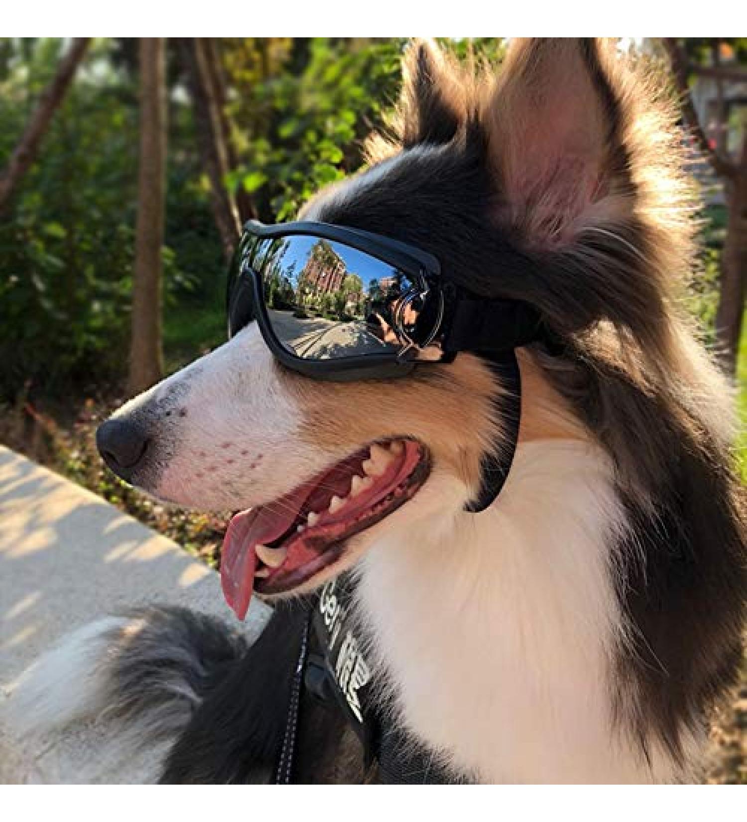 Dog Fashion: Doggles Goggles with UV Protection for Large/Medium Dogs - Buy Online on GoSupps.com