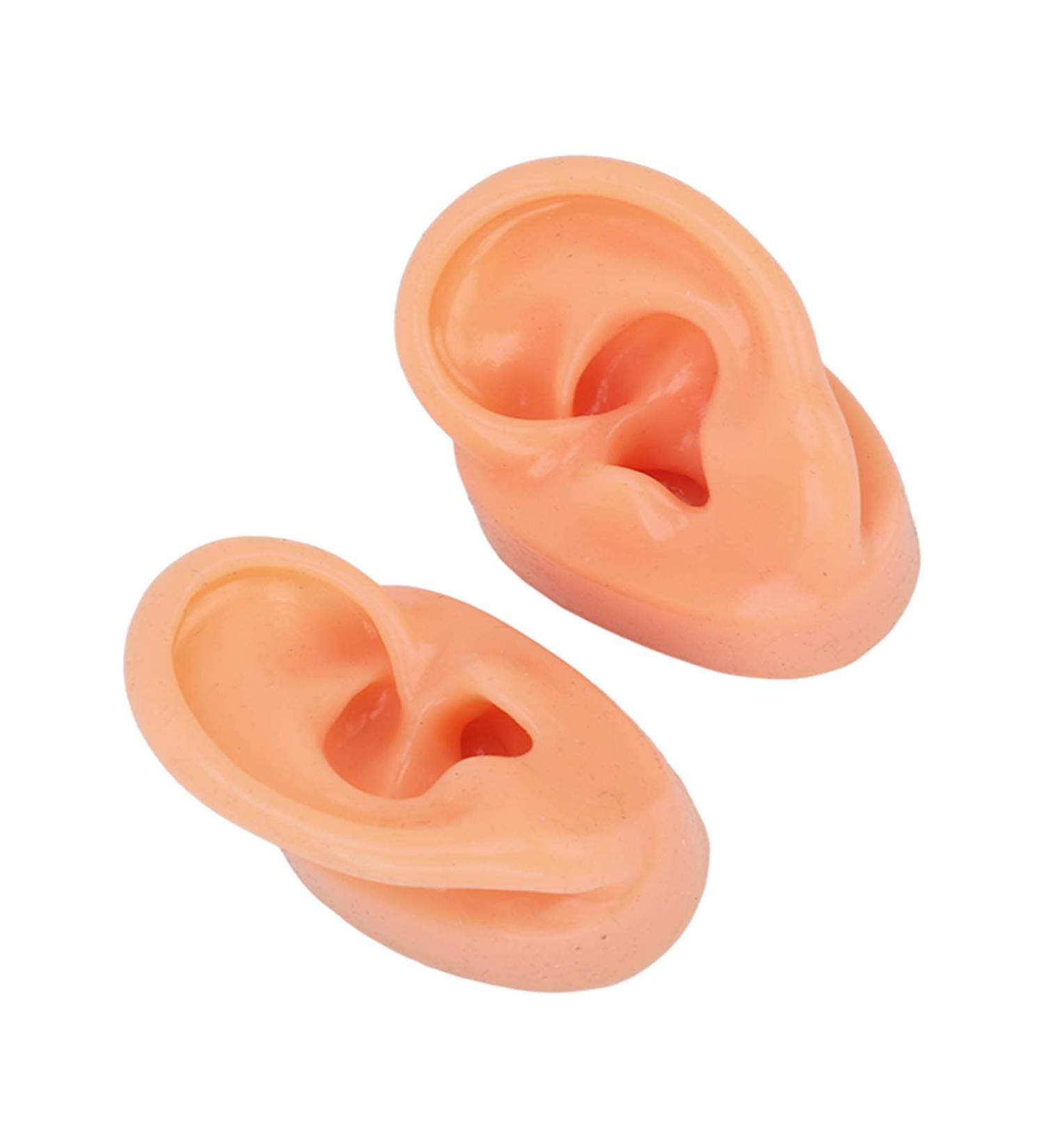 Ear Display Model Silicone Simulated Soft Ear Model Waterproof Long Lasting for Store - Buy Online on GoSupps.com