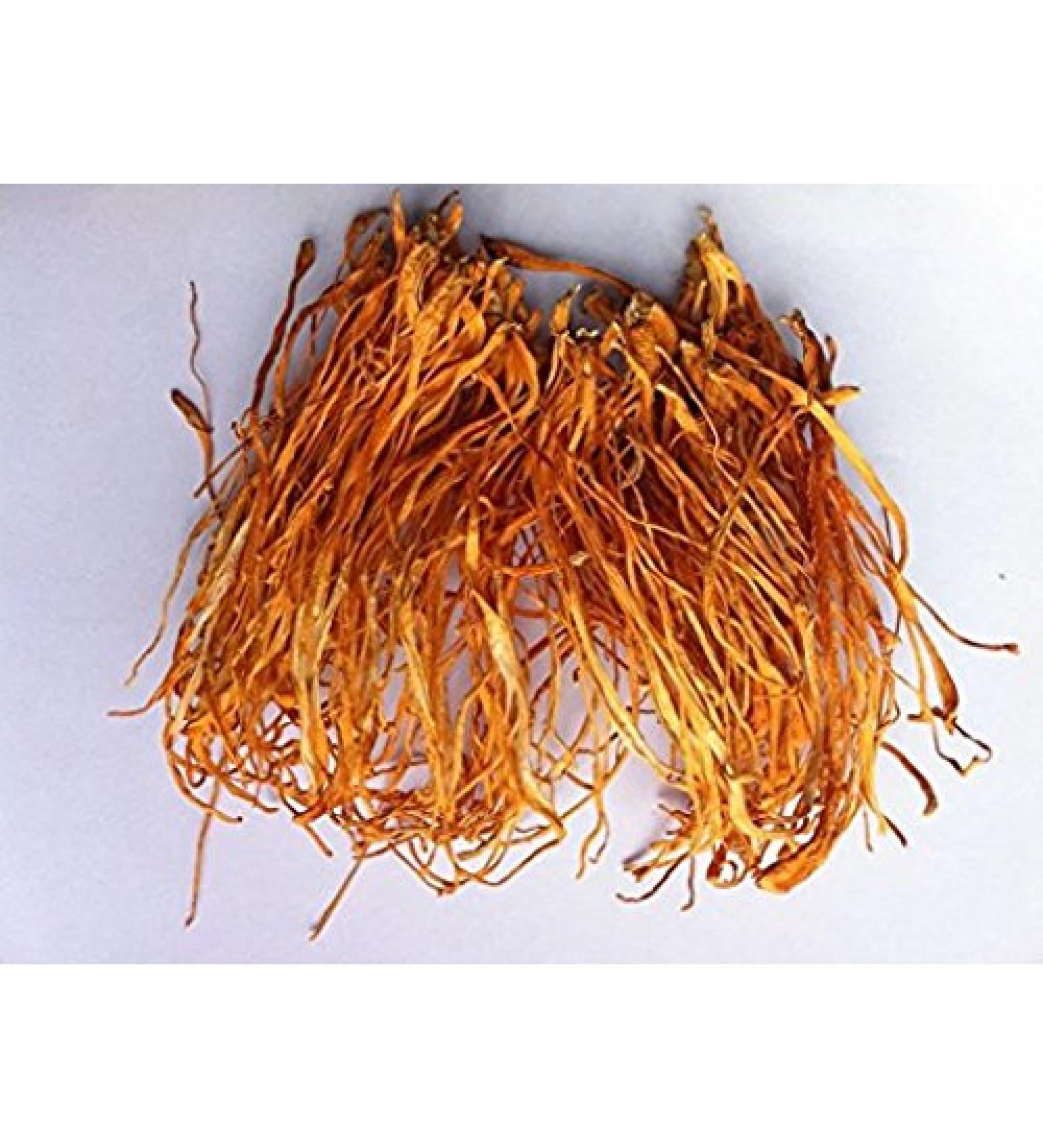 2 Pound (908 grams) Special fungus Cordyceps Flower from Yunnan China ( ) - Buy Online on GoSupps.com
