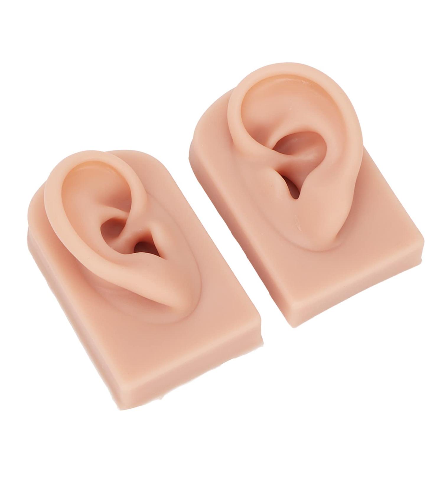 Flexible Reusable Silicone Ear Model (Middle Skin Color) - 1 Pair for Teachers and Salons - Buy Online on GoSupps.com